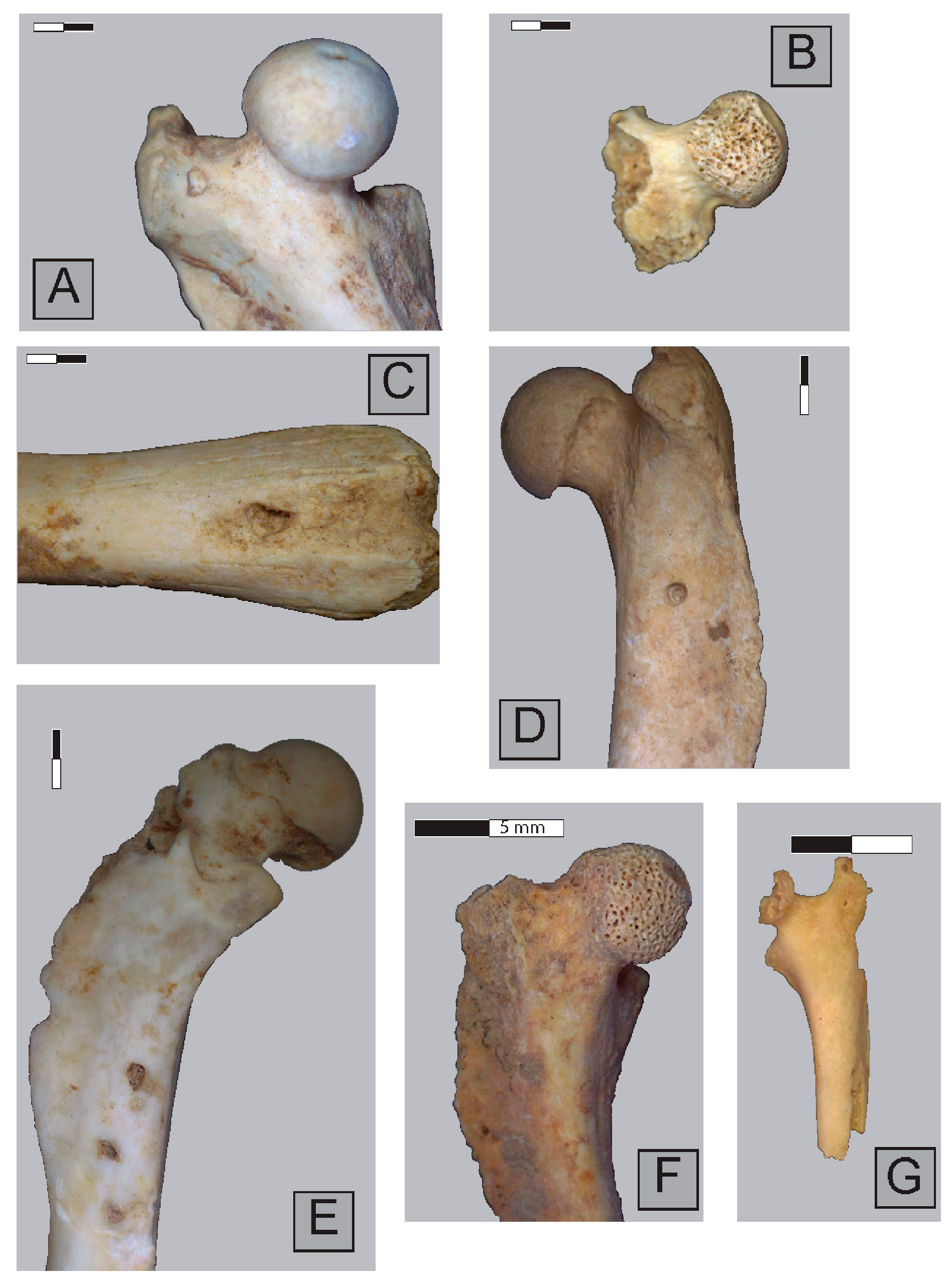 Quaternary 04 00041 g002