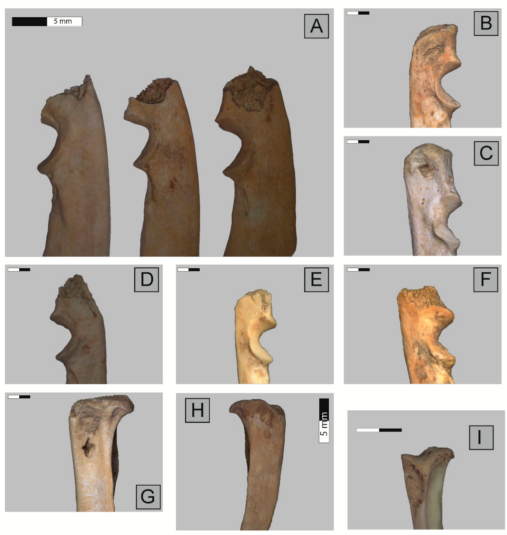 Quaternary 04 00041 g004