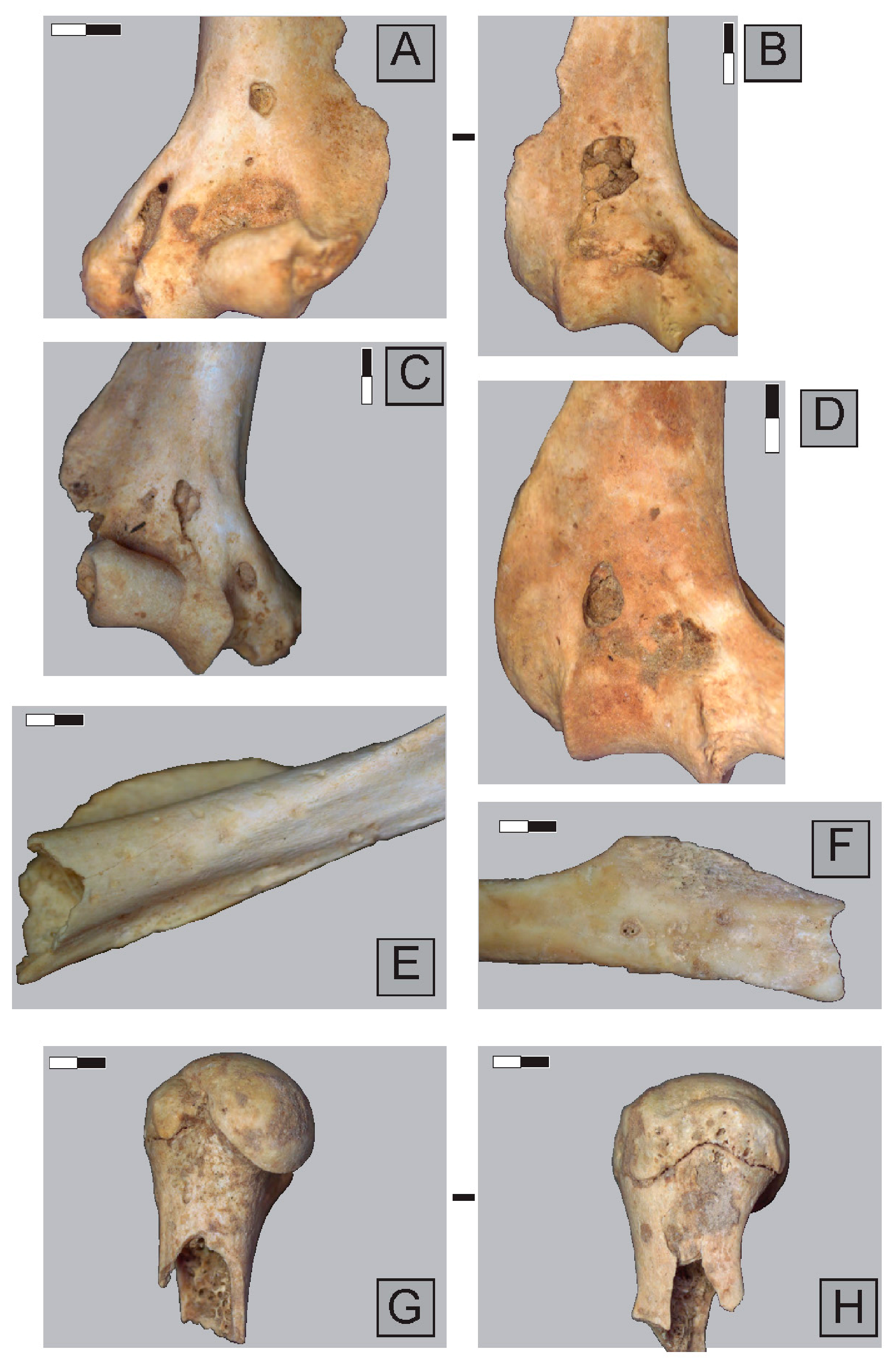 Quaternary 04 00041 g006