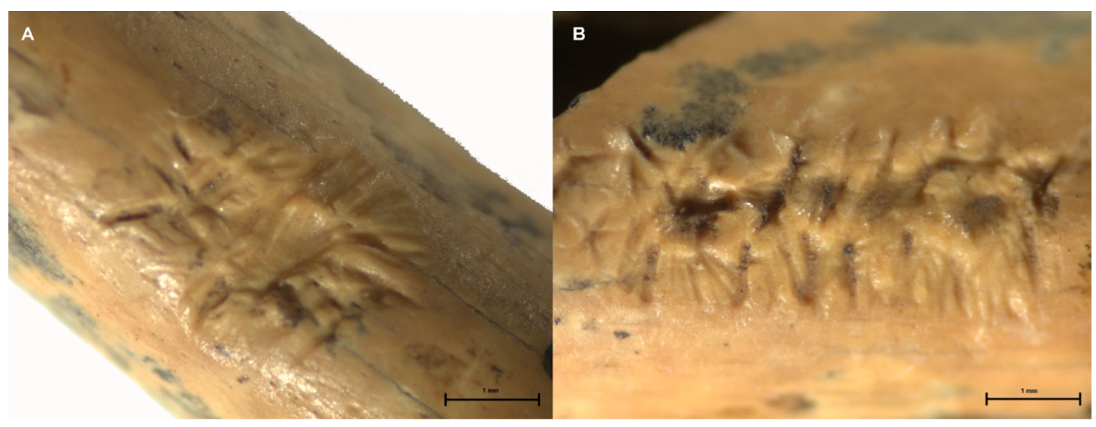 Quaternary 04 00045 g005