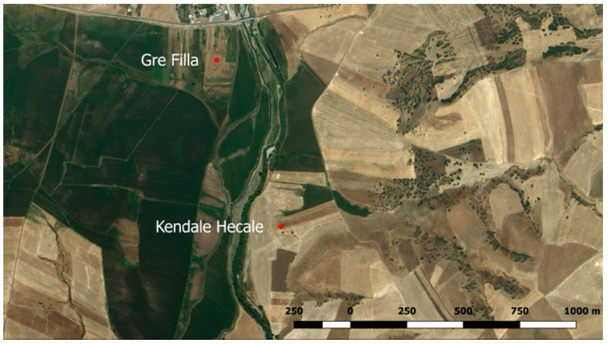 Quaternary 05 00003 g001 550