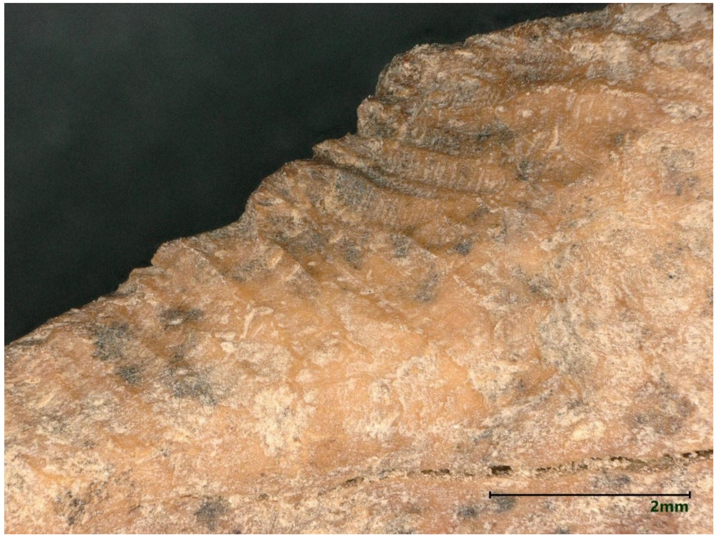 Quaternary 05 00004 g008 550