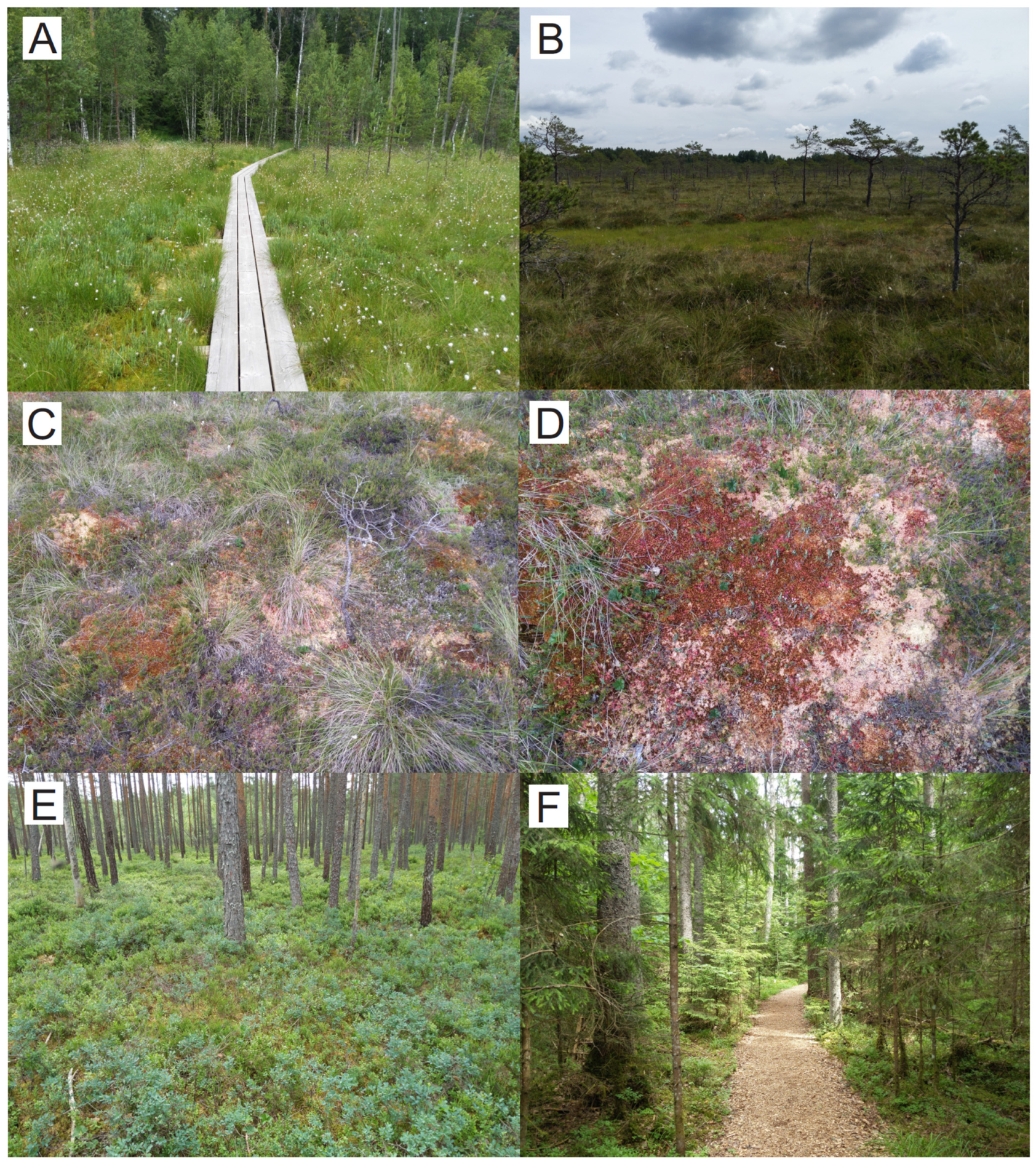 Quaternary 05 00008 g002 Quaternary 05 00008 g002