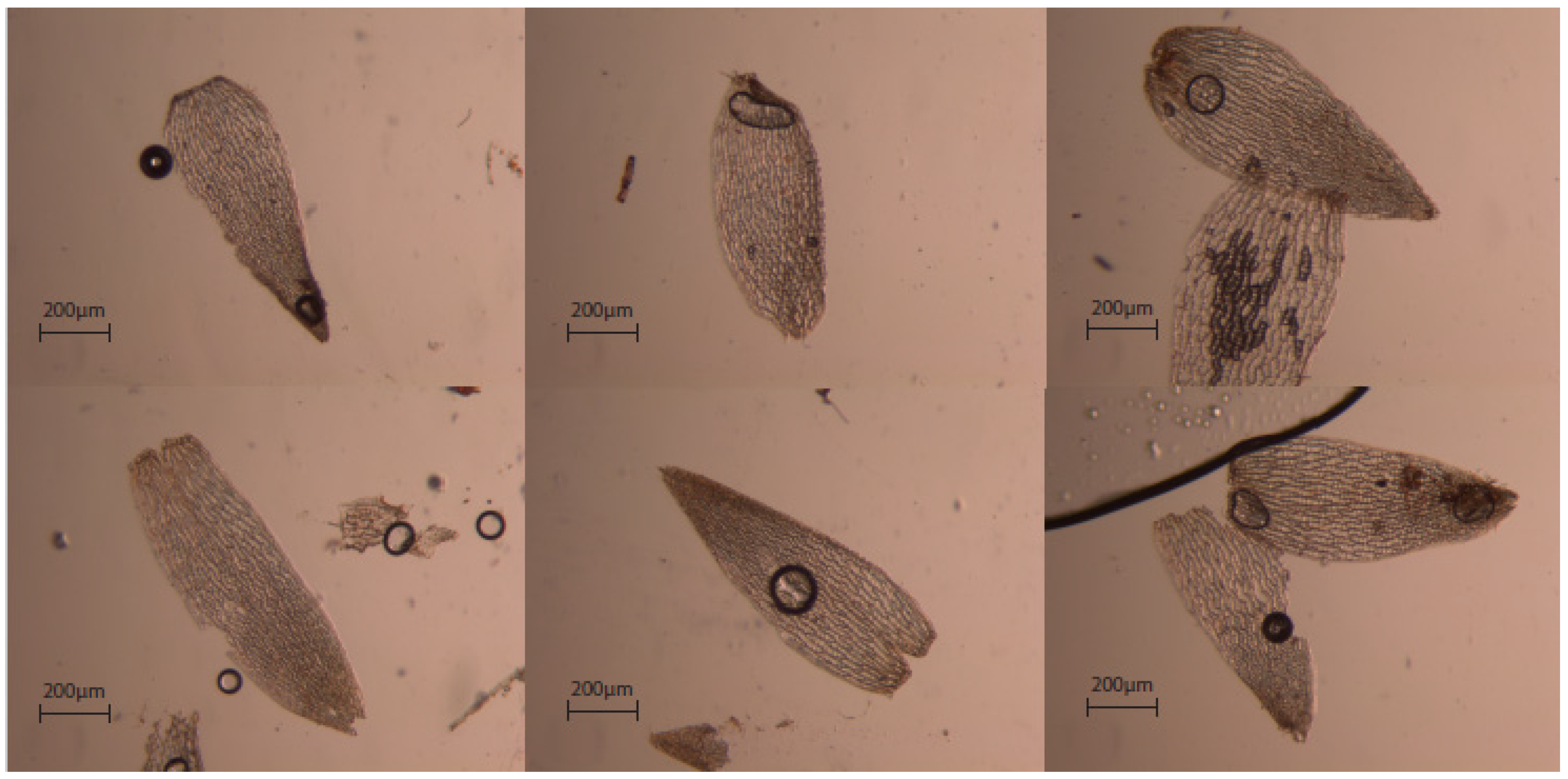 Quaternary 05 00008 g007 Quaternary 05 00008 g007