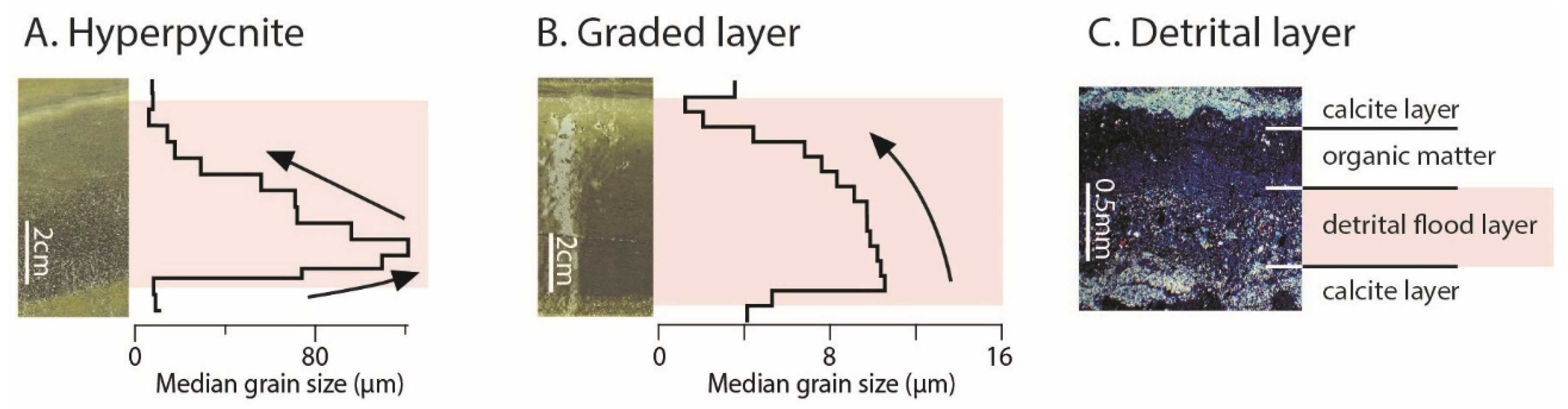 Quaternary 05 00009 g003 550
