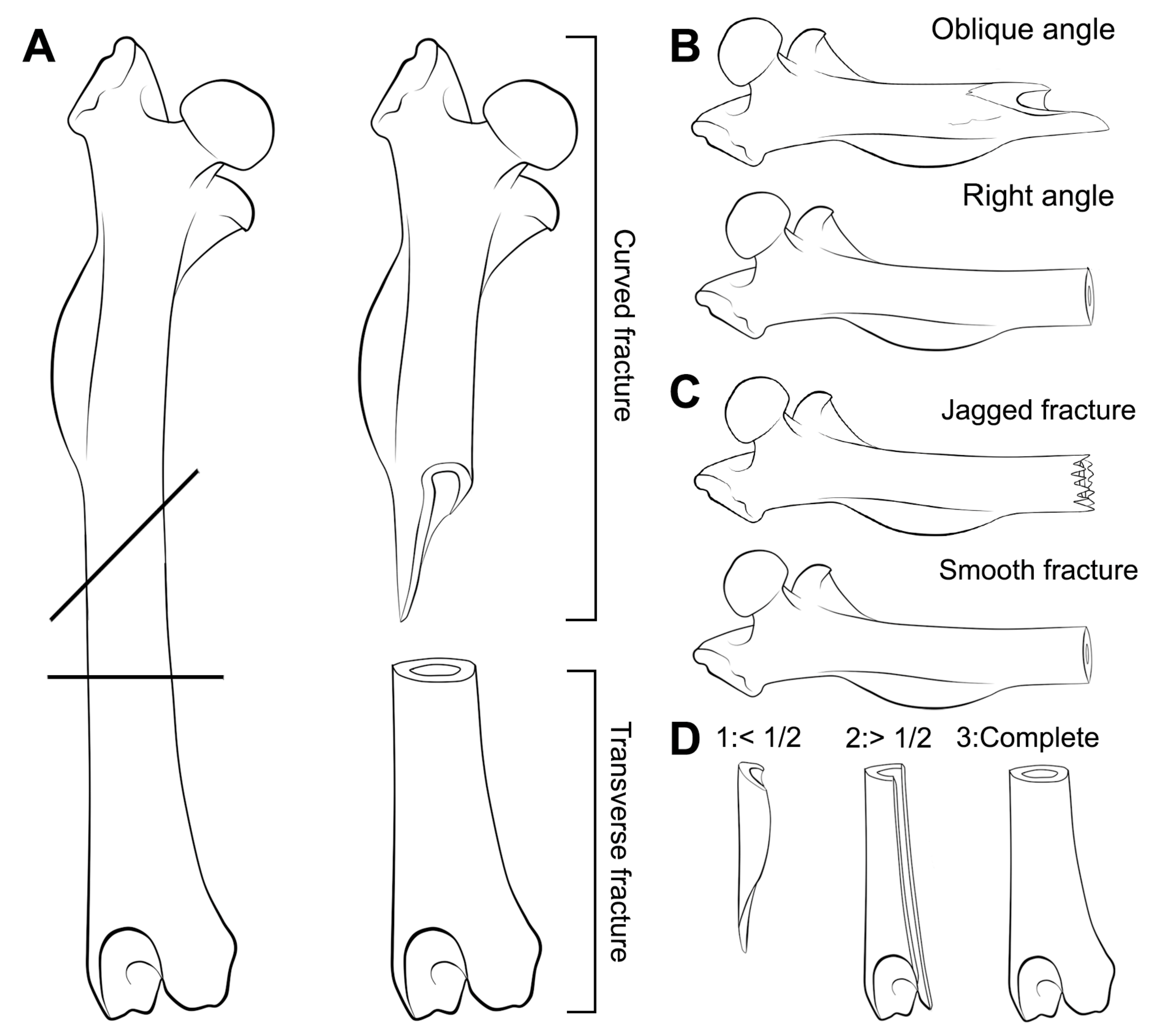 Quaternary 05 00011 g003 550