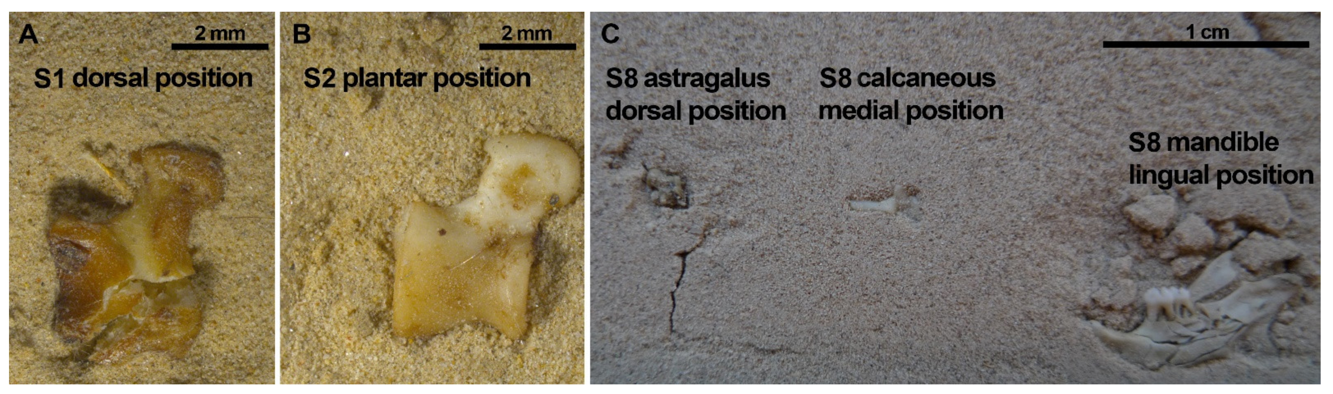 Quaternary 05 00011 g011 550