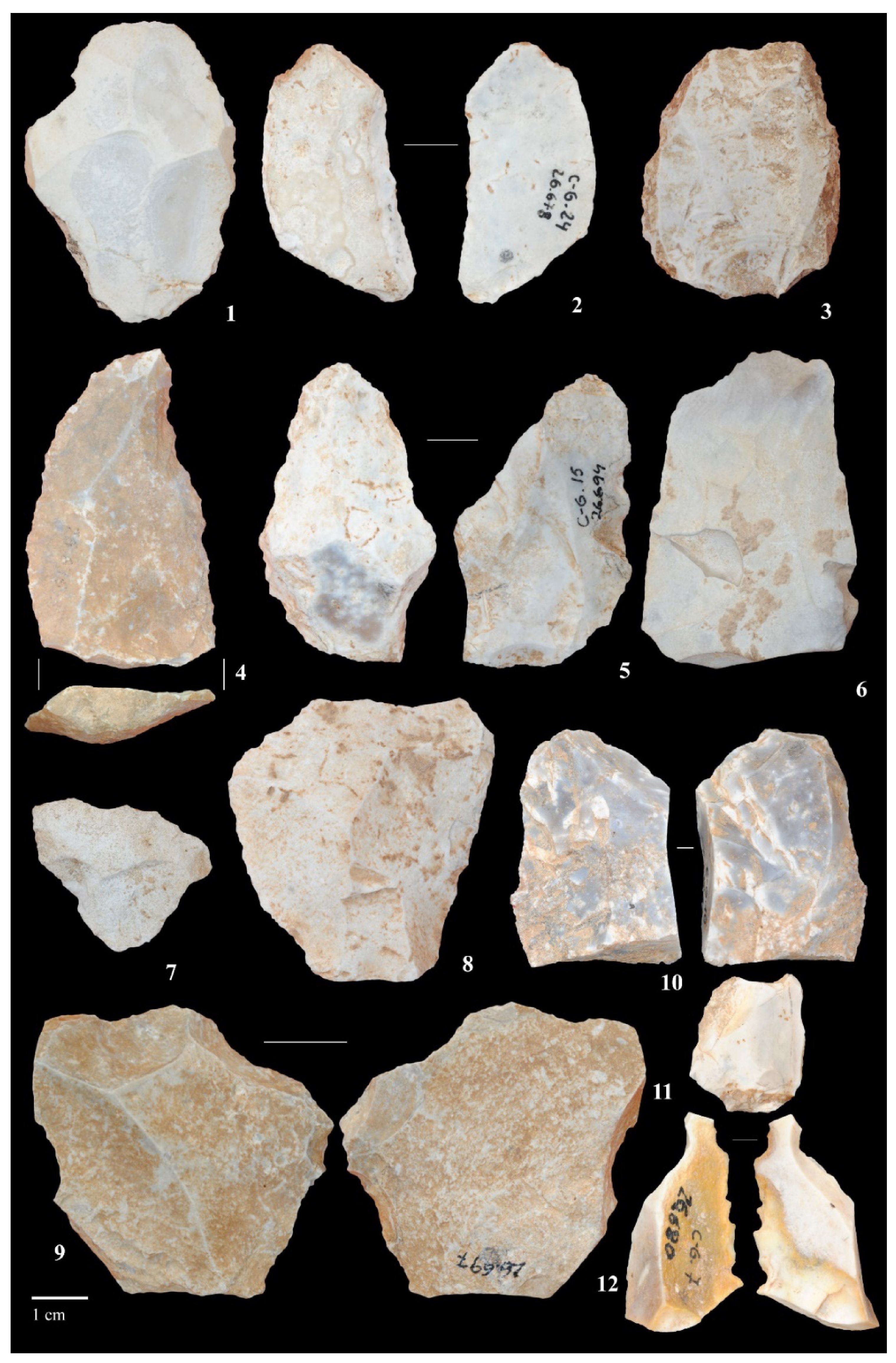 Quaternary 05 00012 g008