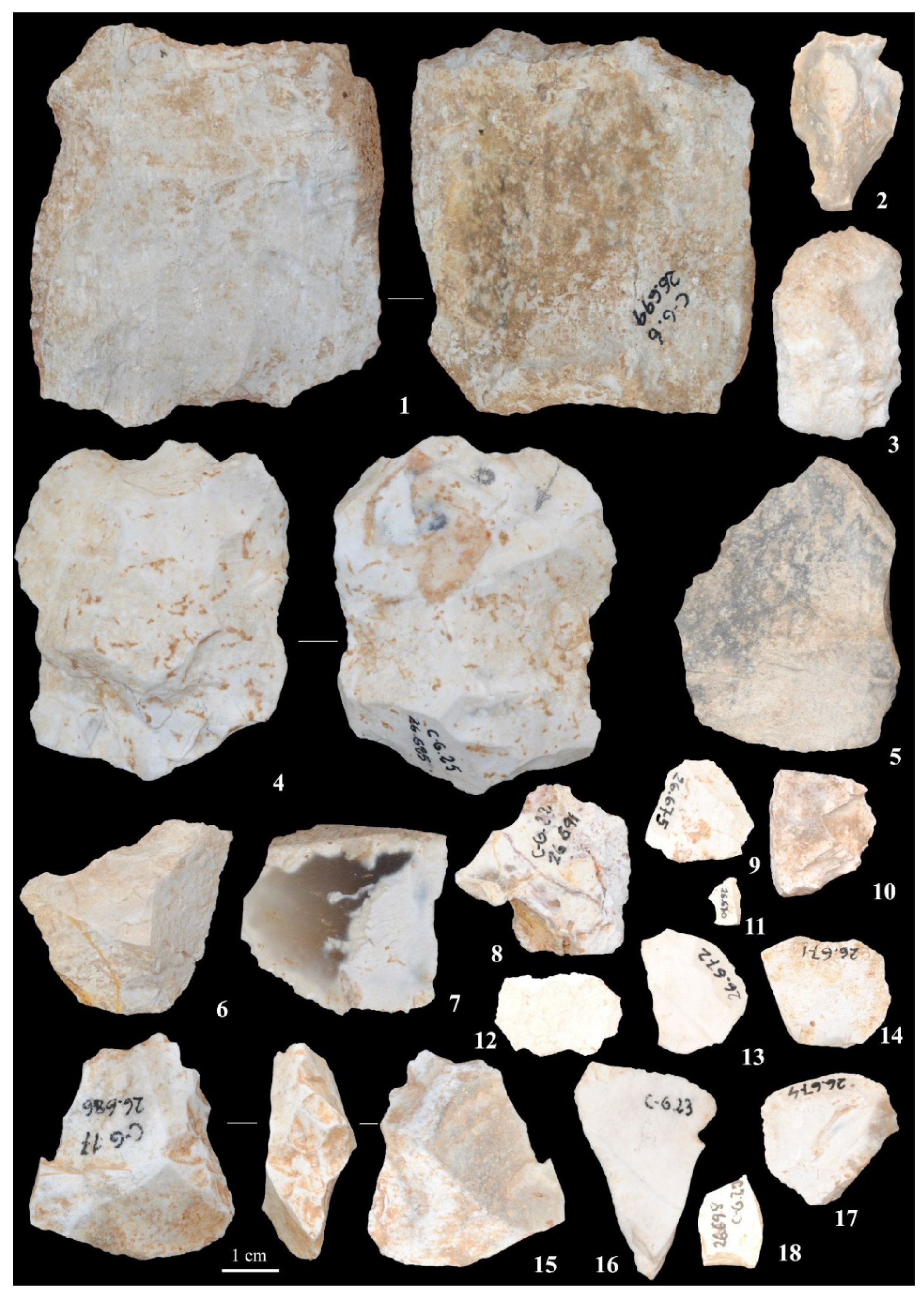 Quaternary 05 00012 g009