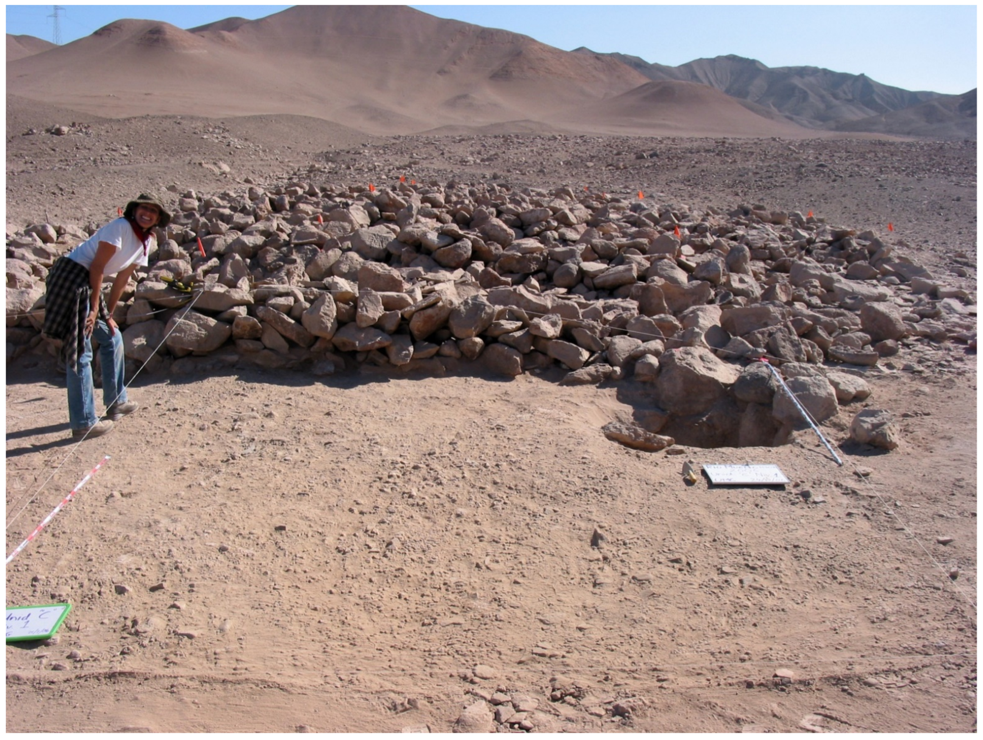 Quaternary 05 00016 g002