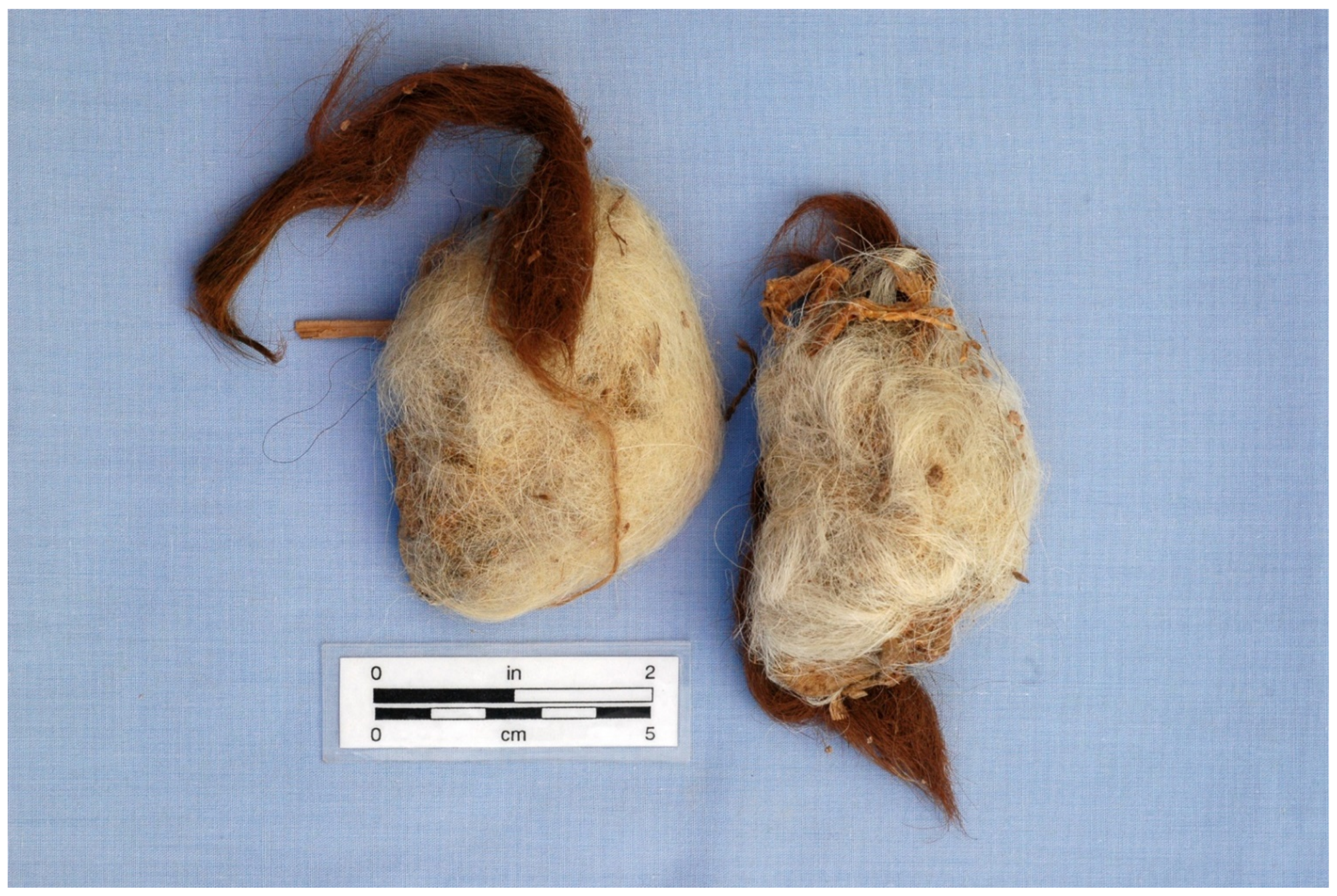 Quaternary 05 00016 g005