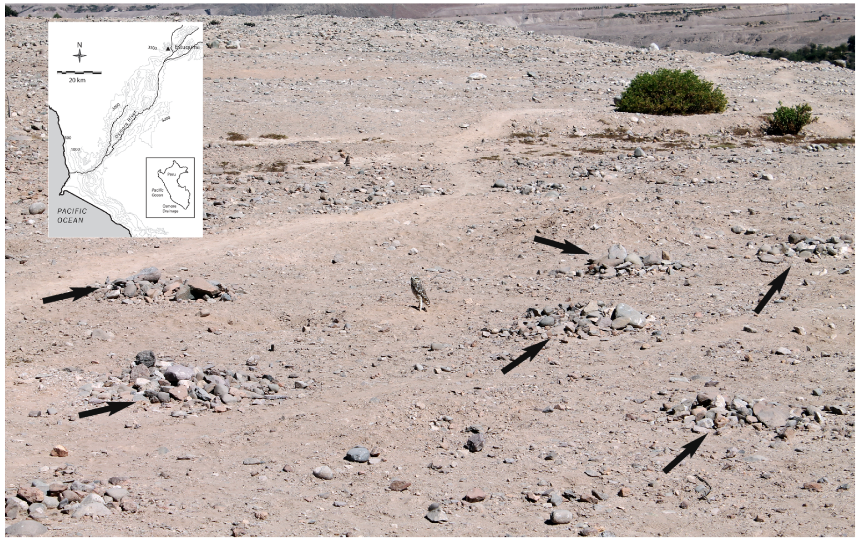 Quaternary 05 00016 g007