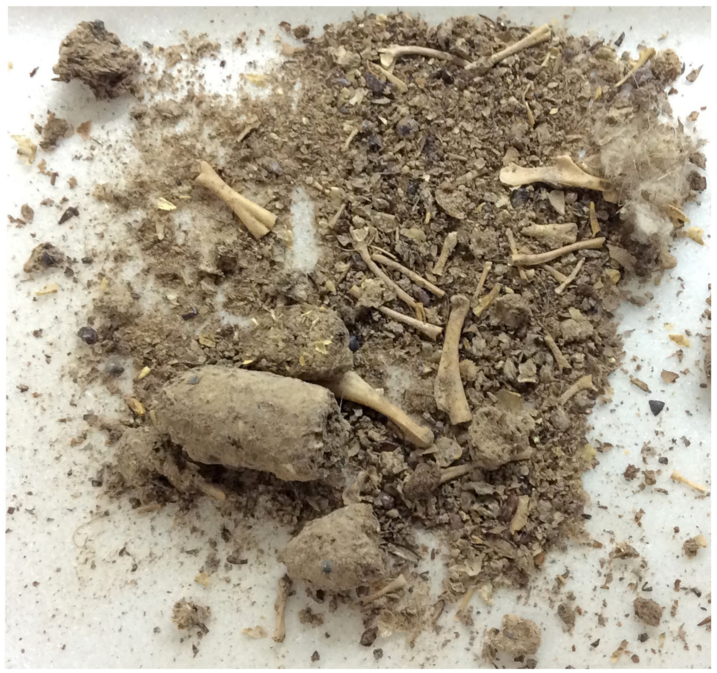 Quaternary 05 00016 g010