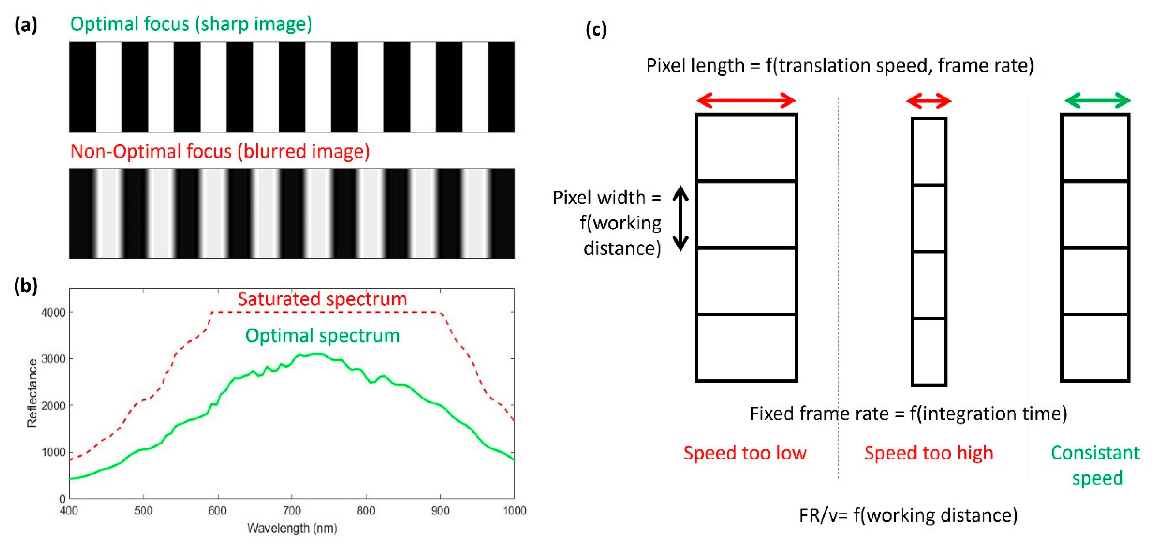 Quaternary 05 00028 g005 Quaternary 05 00028 g005