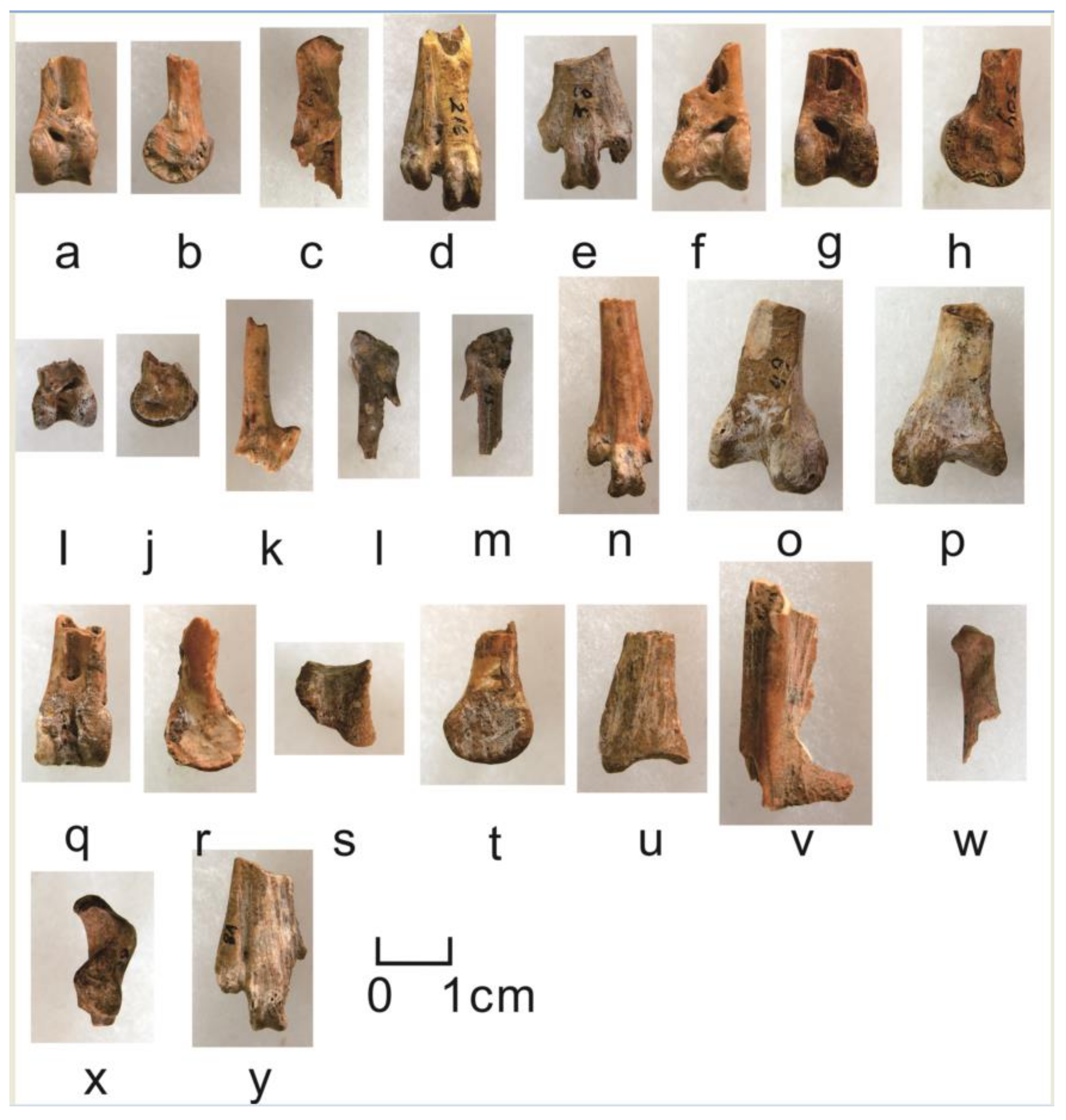 Quaternary 05 00031 g0a10