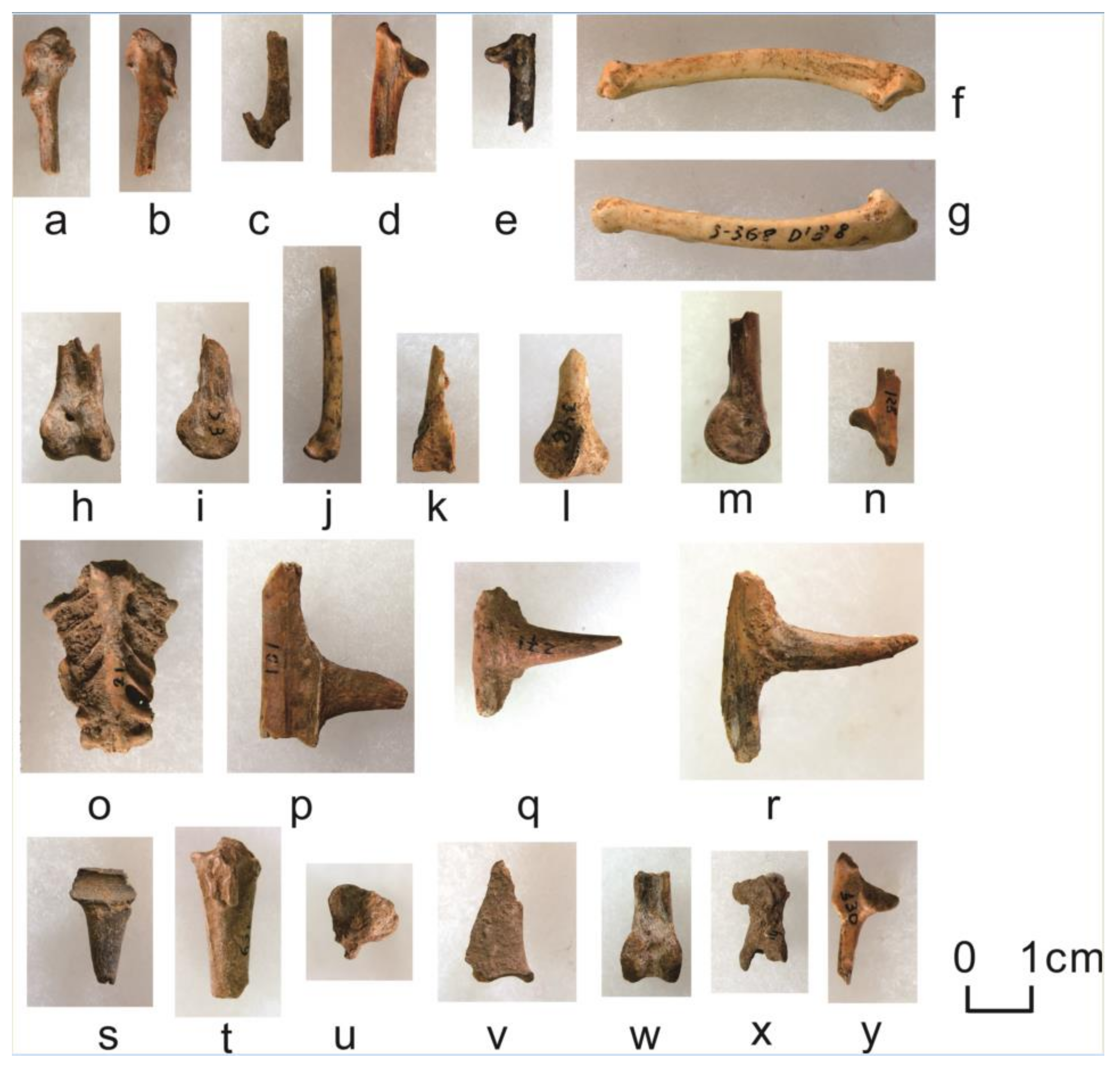 Quaternary 05 00031 g0a11