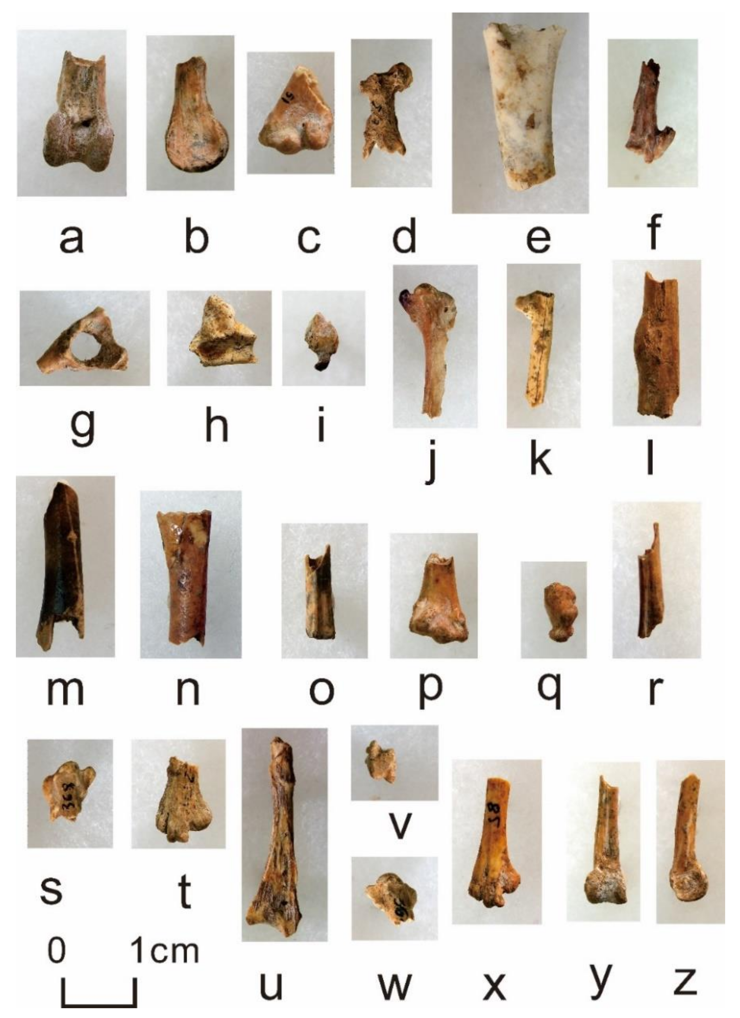 Quaternary 05 00031 g0a12