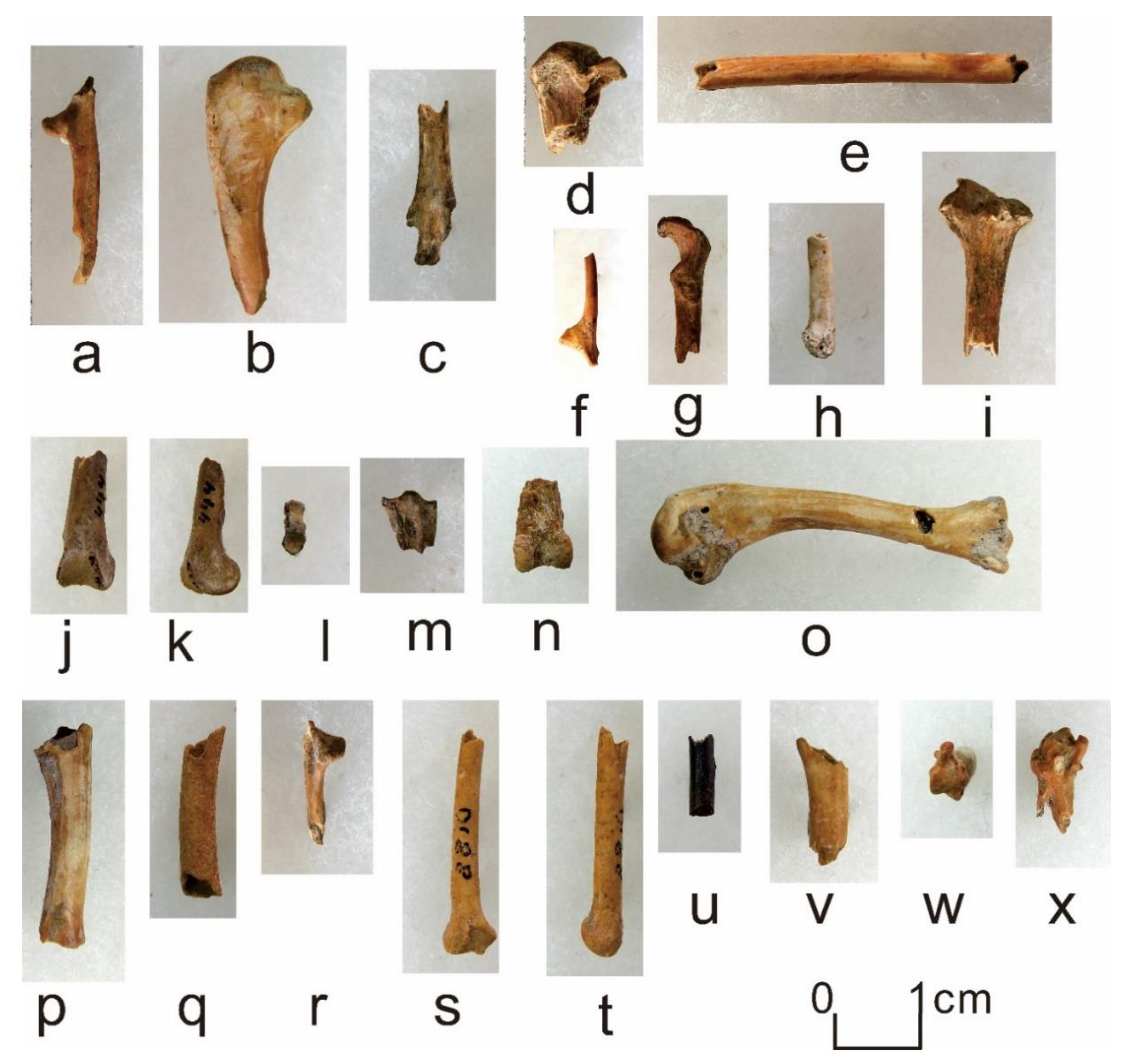 Quaternary 05 00031 g0a13