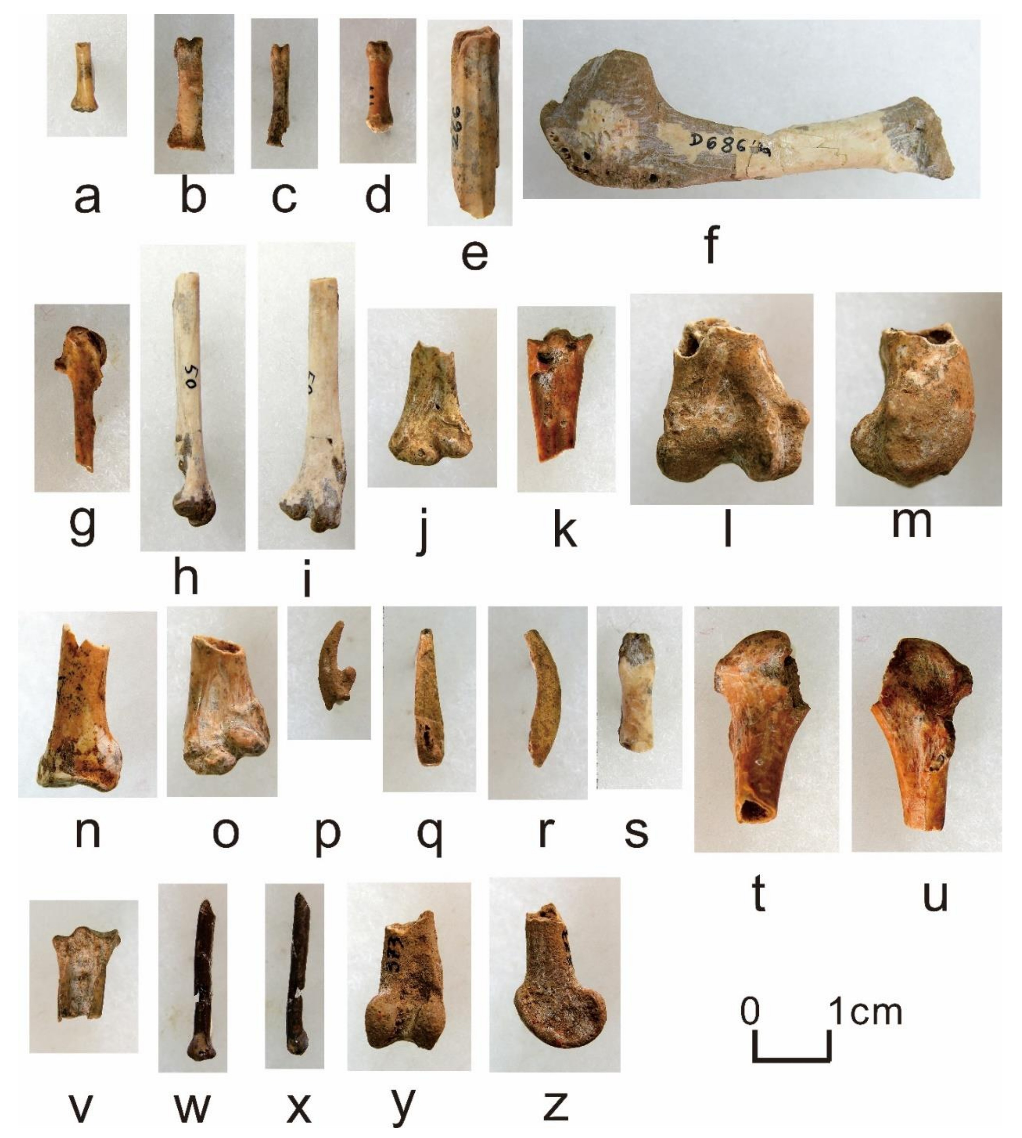 Quaternary 05 00031 g0a14