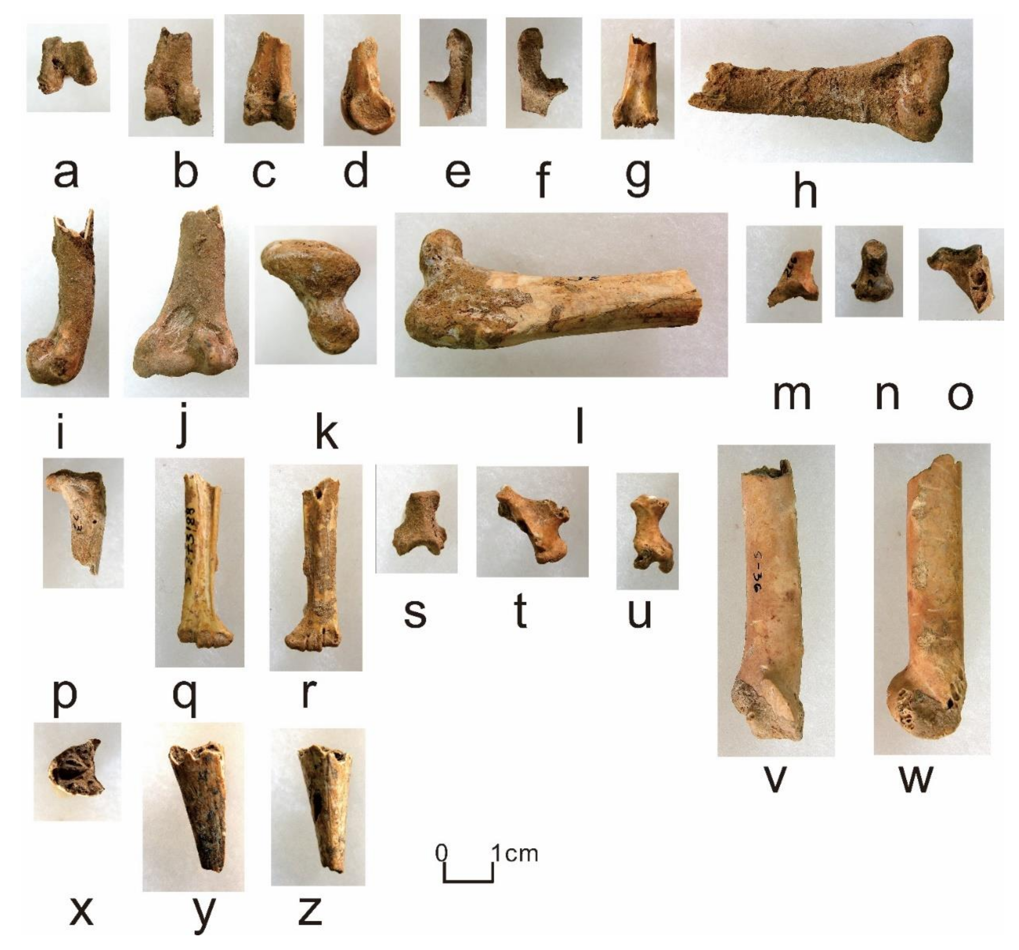 Quaternary 05 00031 g0a15