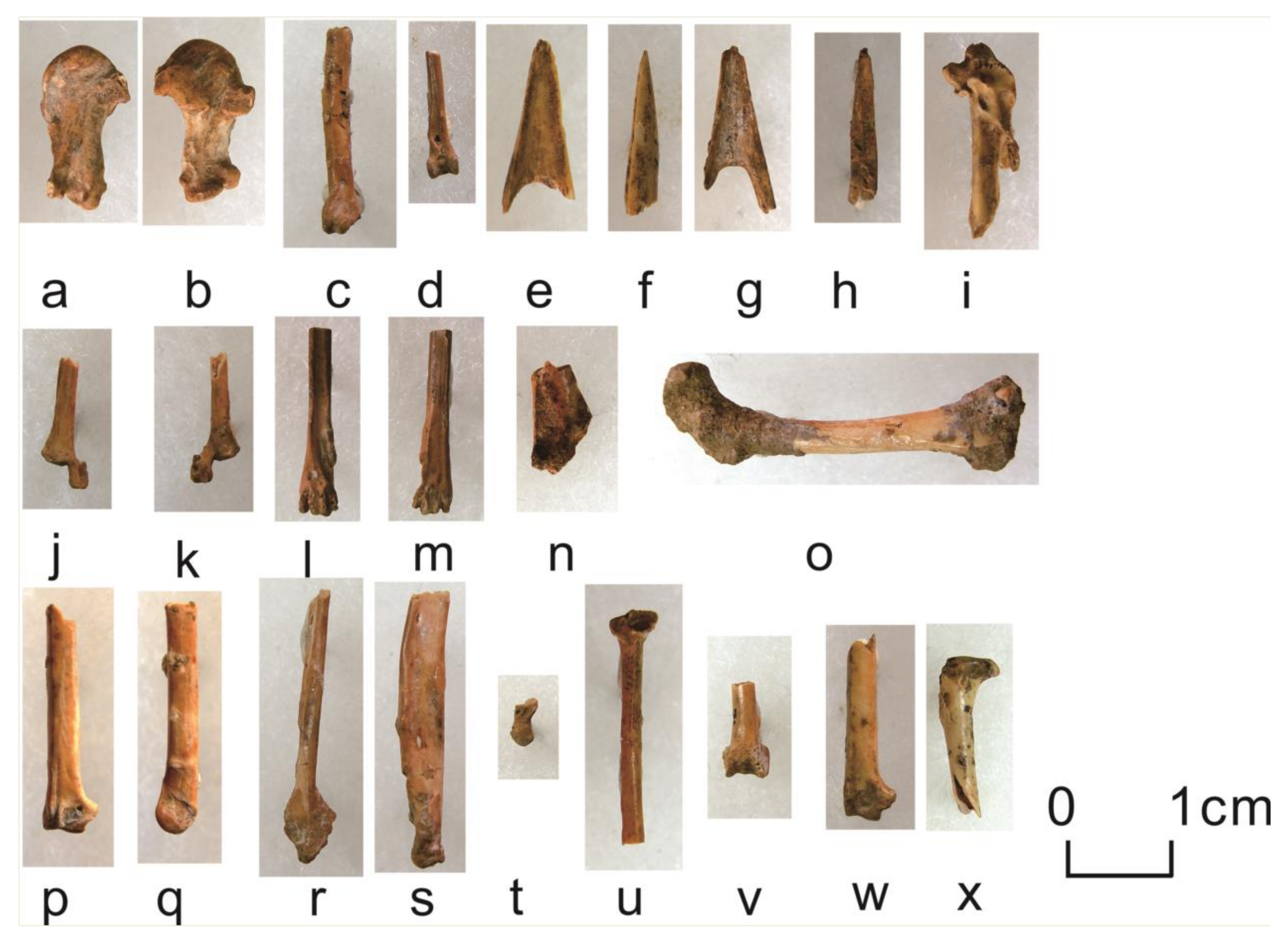 Quaternary 05 00031 g0a16
