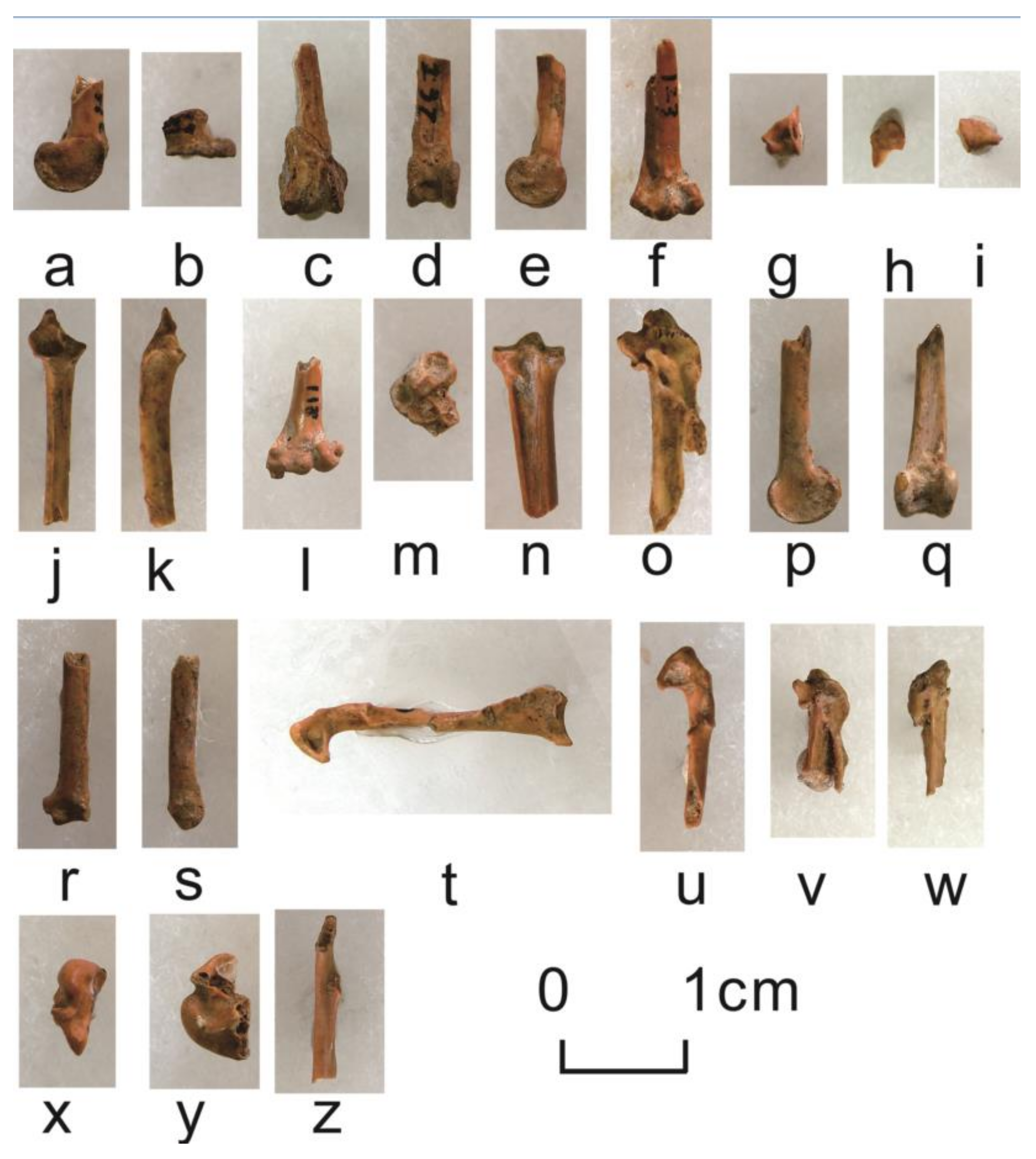 Quaternary 05 00031 g0a17