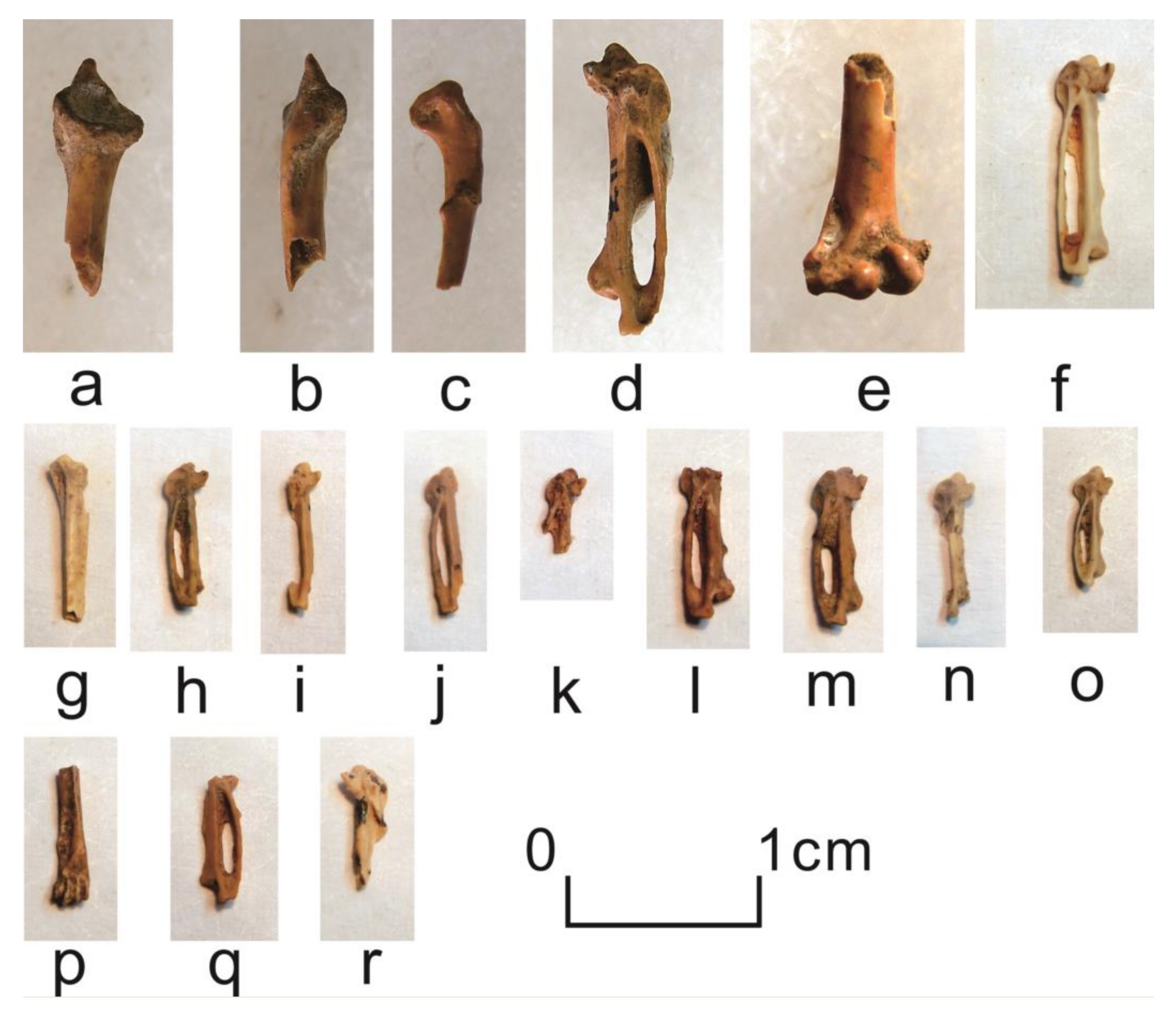 Quaternary 05 00031 g0a18