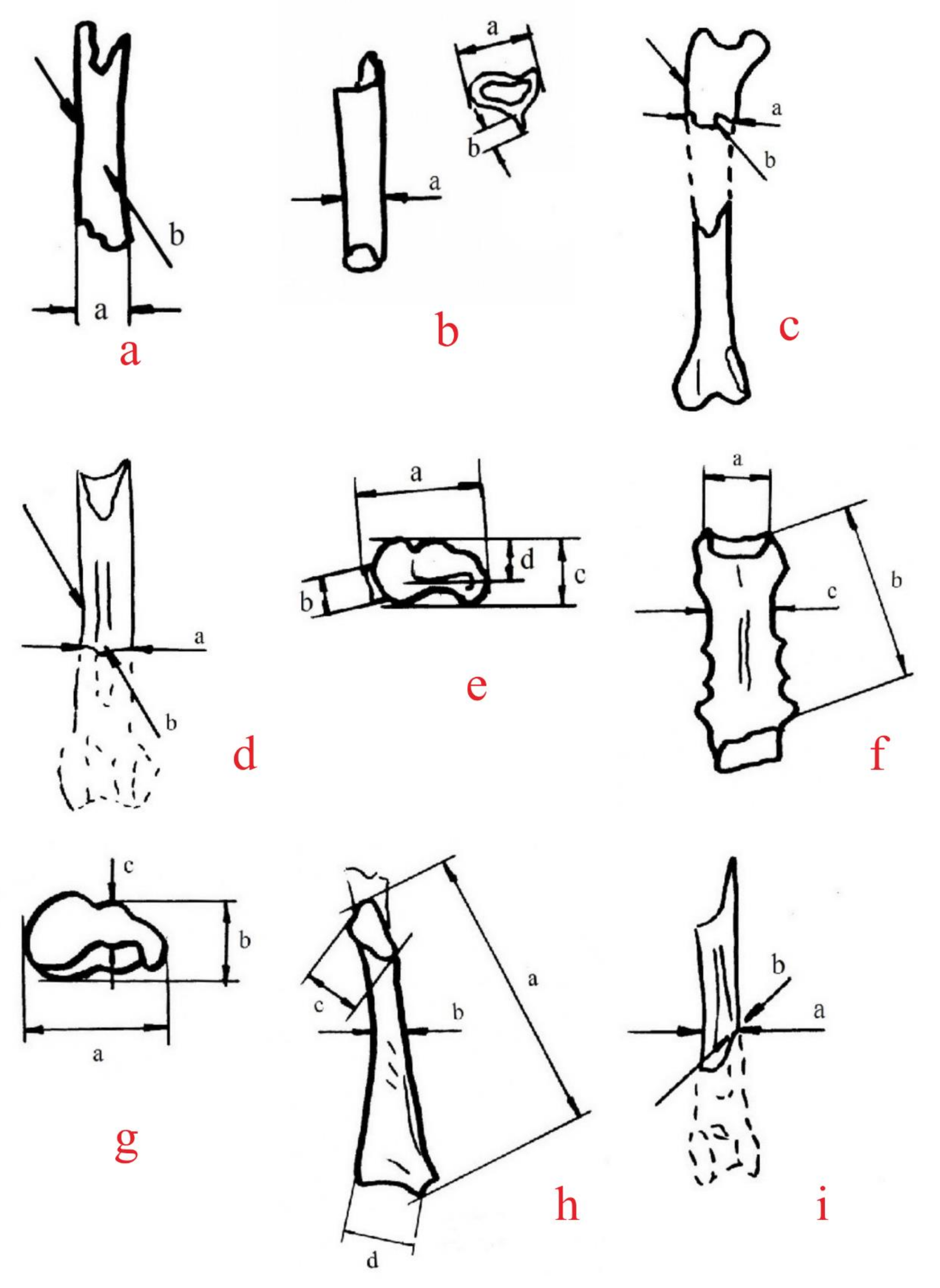 Quaternary 05 00031 g0a3