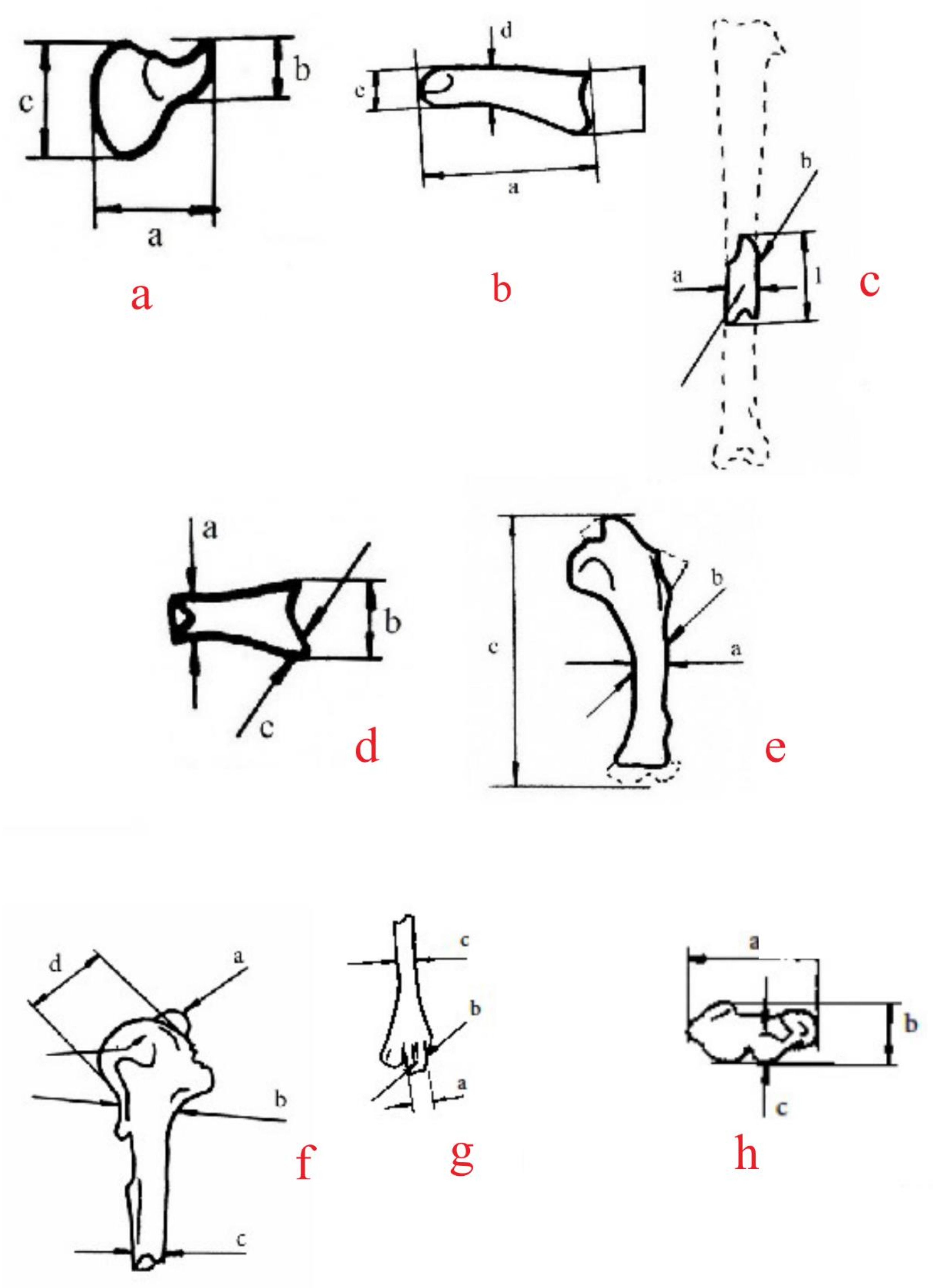 Quaternary 05 00031 g0a5