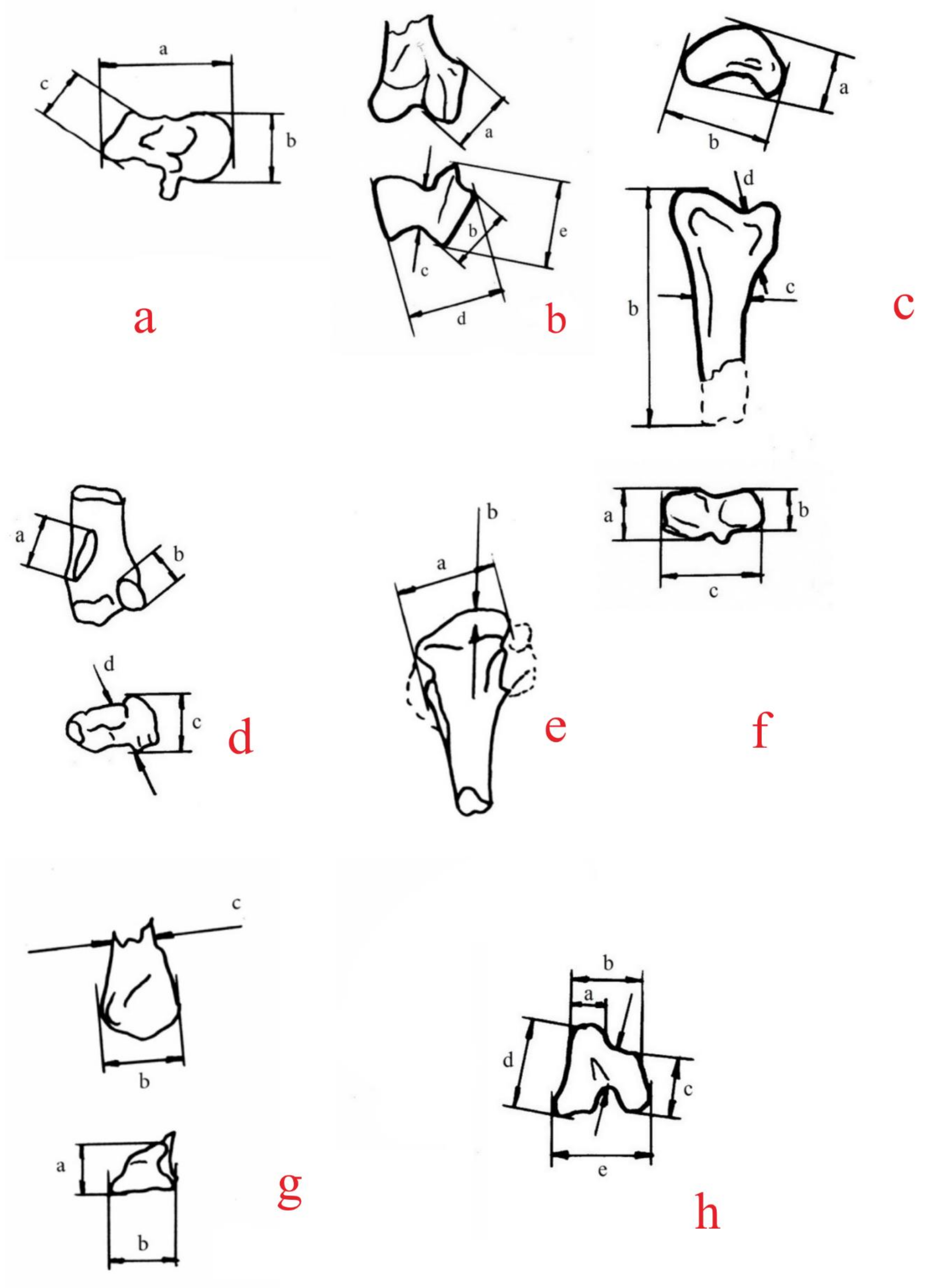 Quaternary 05 00031 g0a6