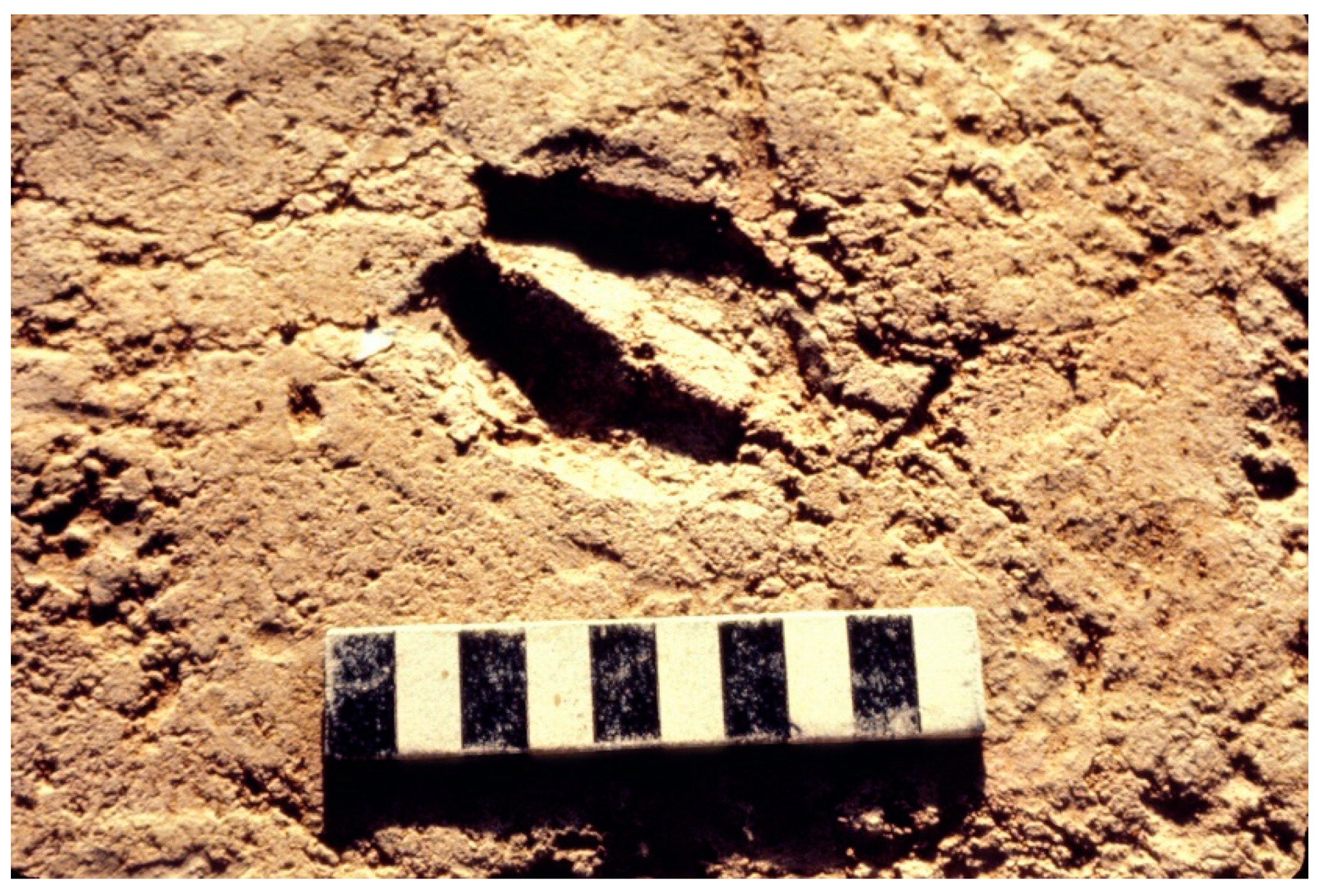 Quaternary 05 00032 g0a4