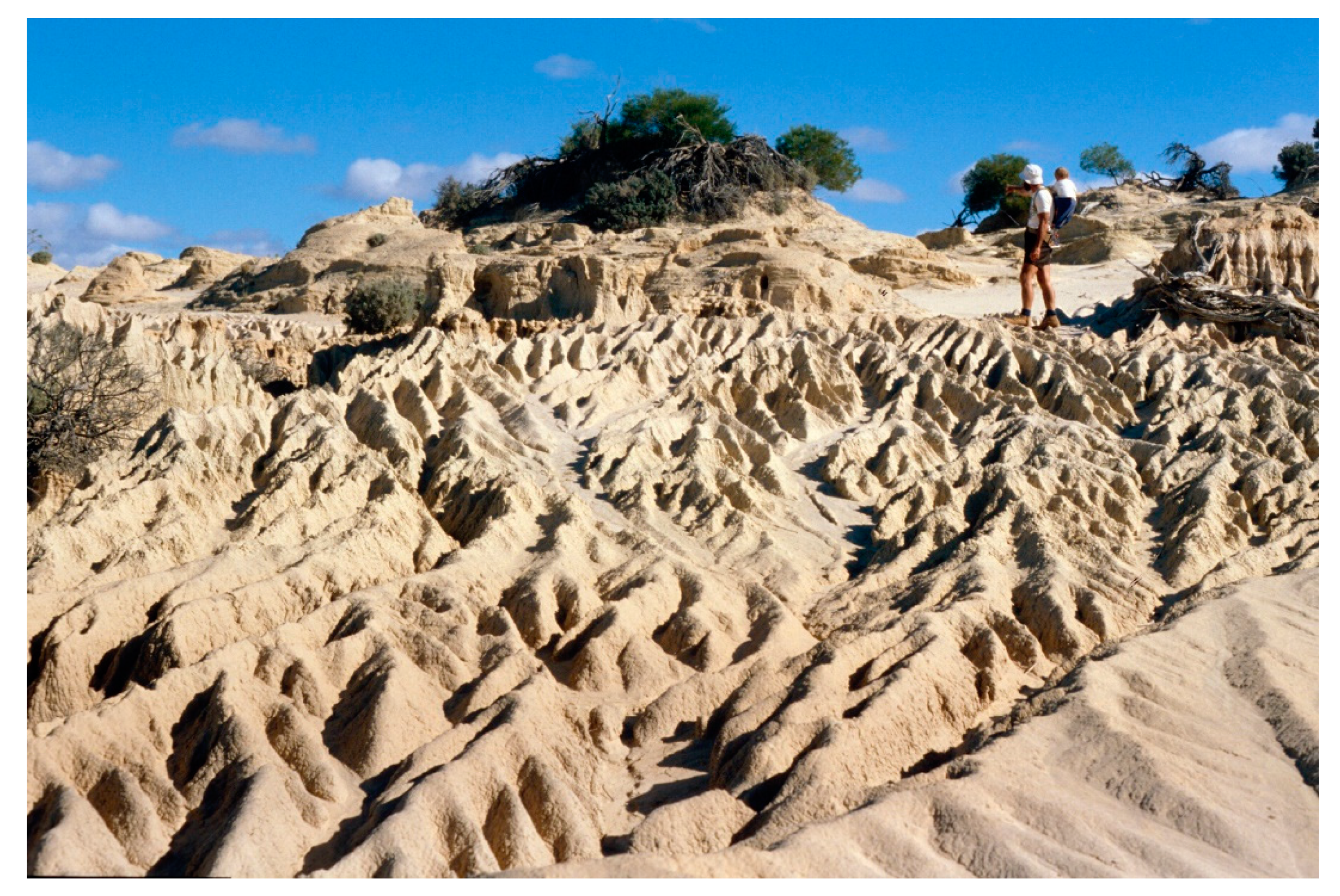 Quaternary 05 00032 g0a7