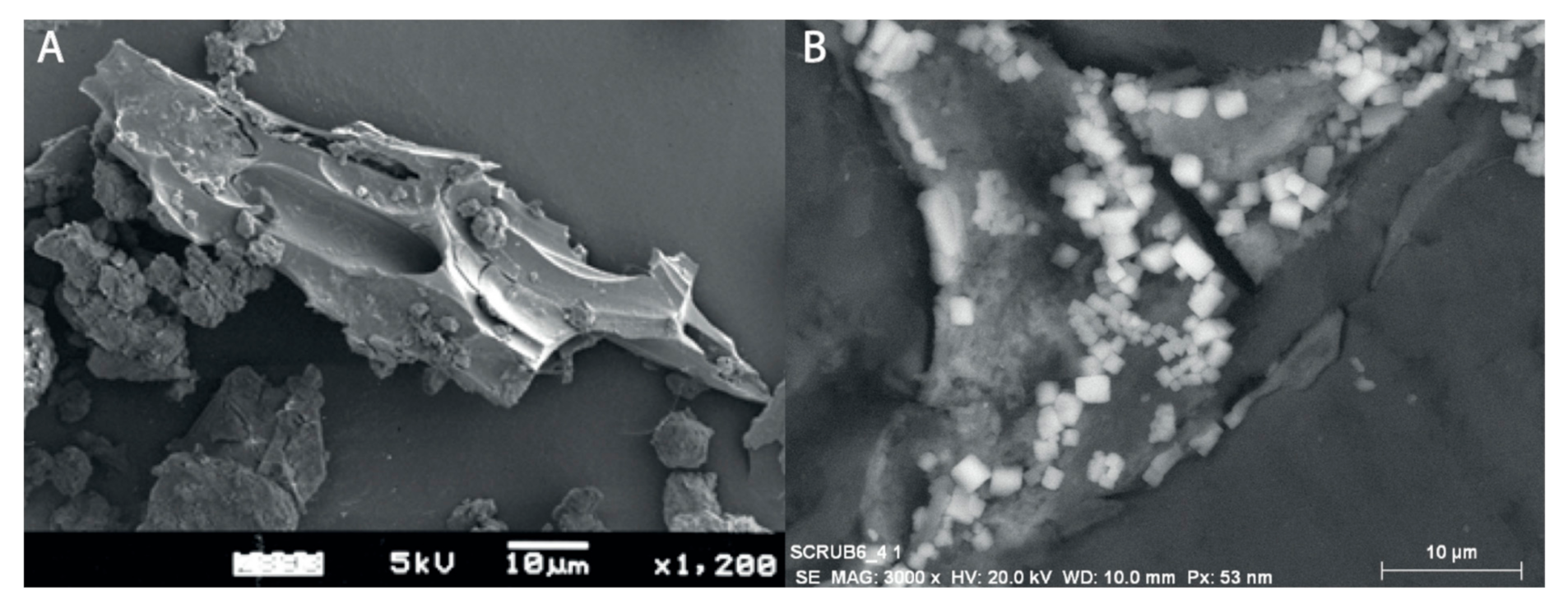 Quaternary 05 00034 g015