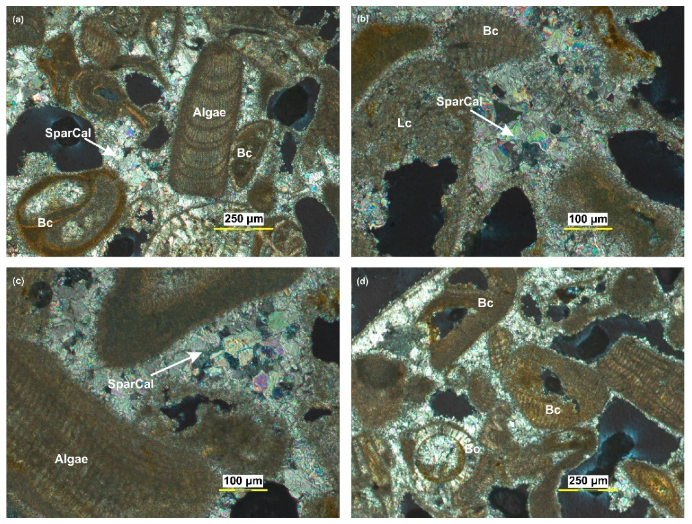 Quaternary 05 00035 g009 550