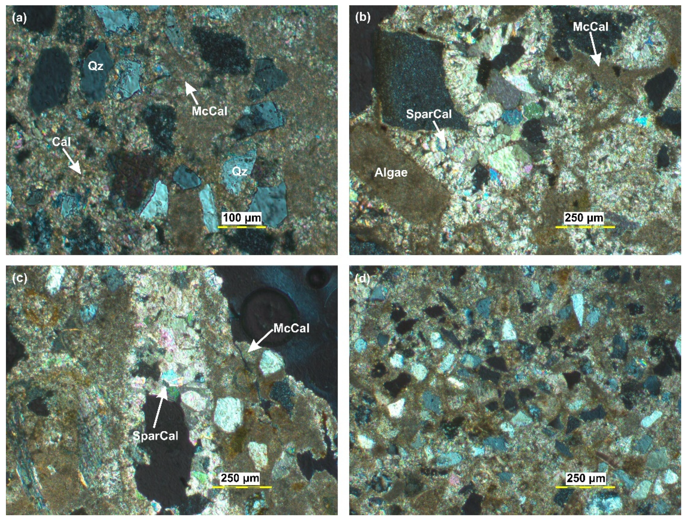Quaternary 05 00035 g010 550