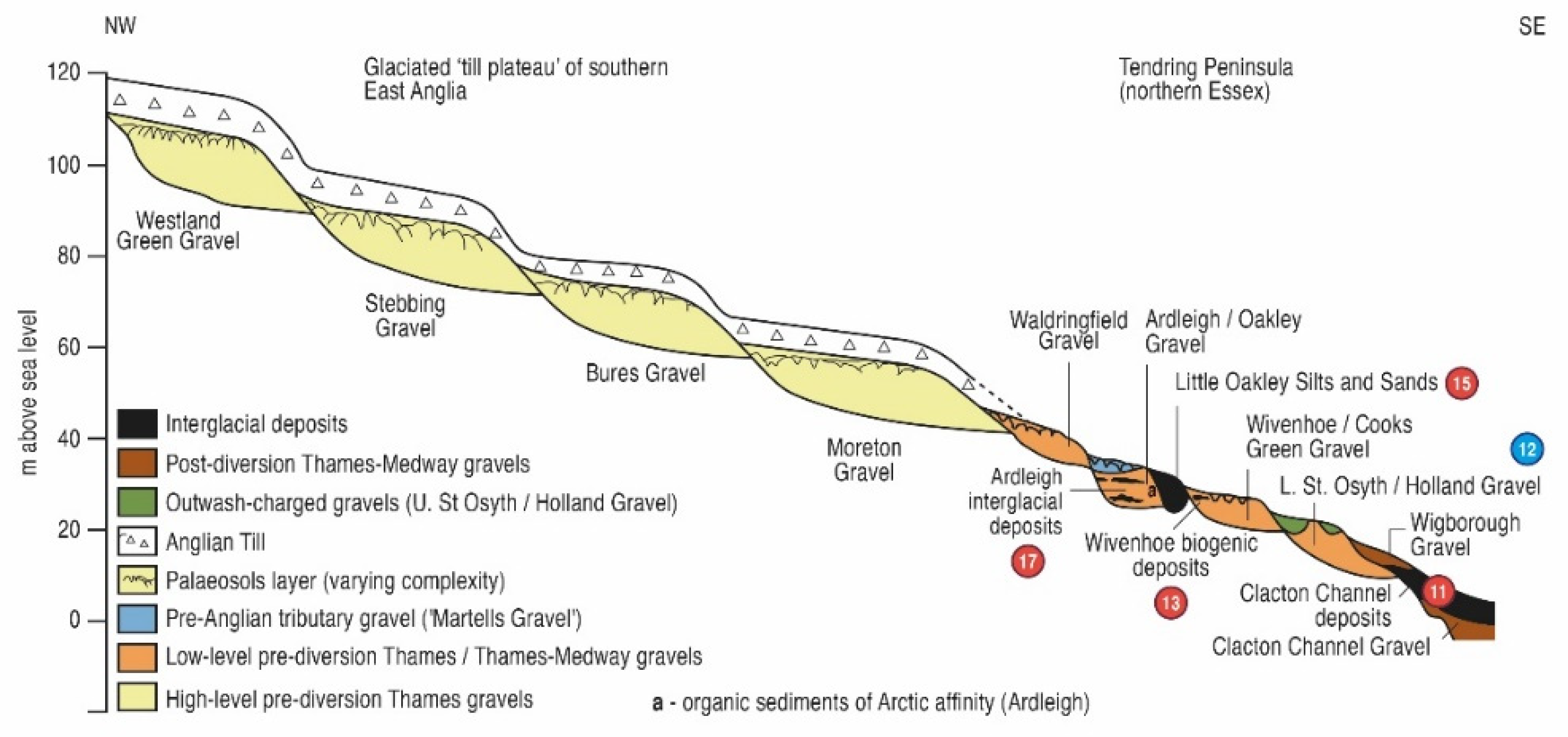 Quaternary 05 00037 g005 Quaternary 05 00037 g005