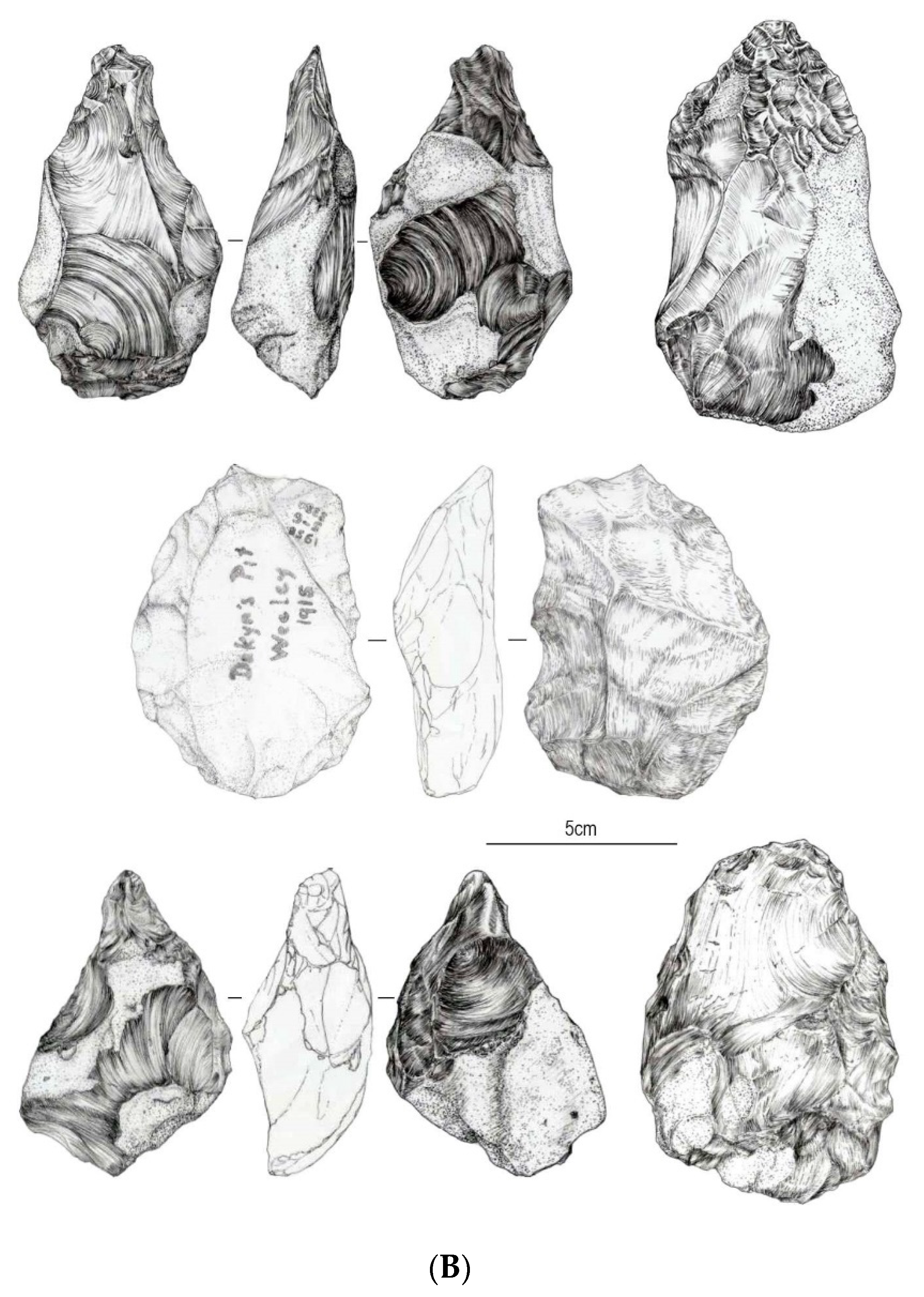 Quaternary 05 00037 g006b Quaternary 05 00037 g006b