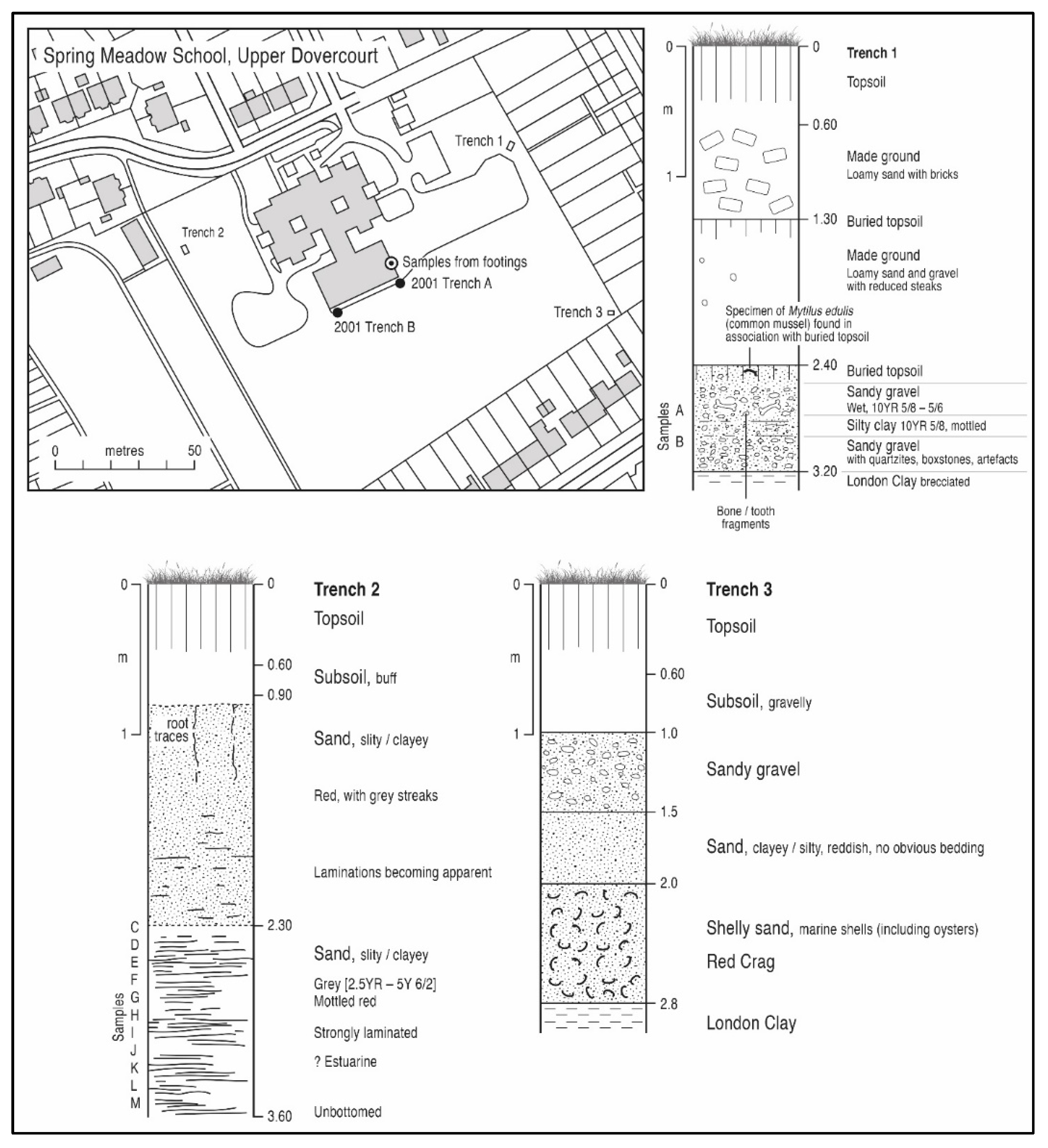 Quaternary 05 00037 g010 Quaternary 05 00037 g010