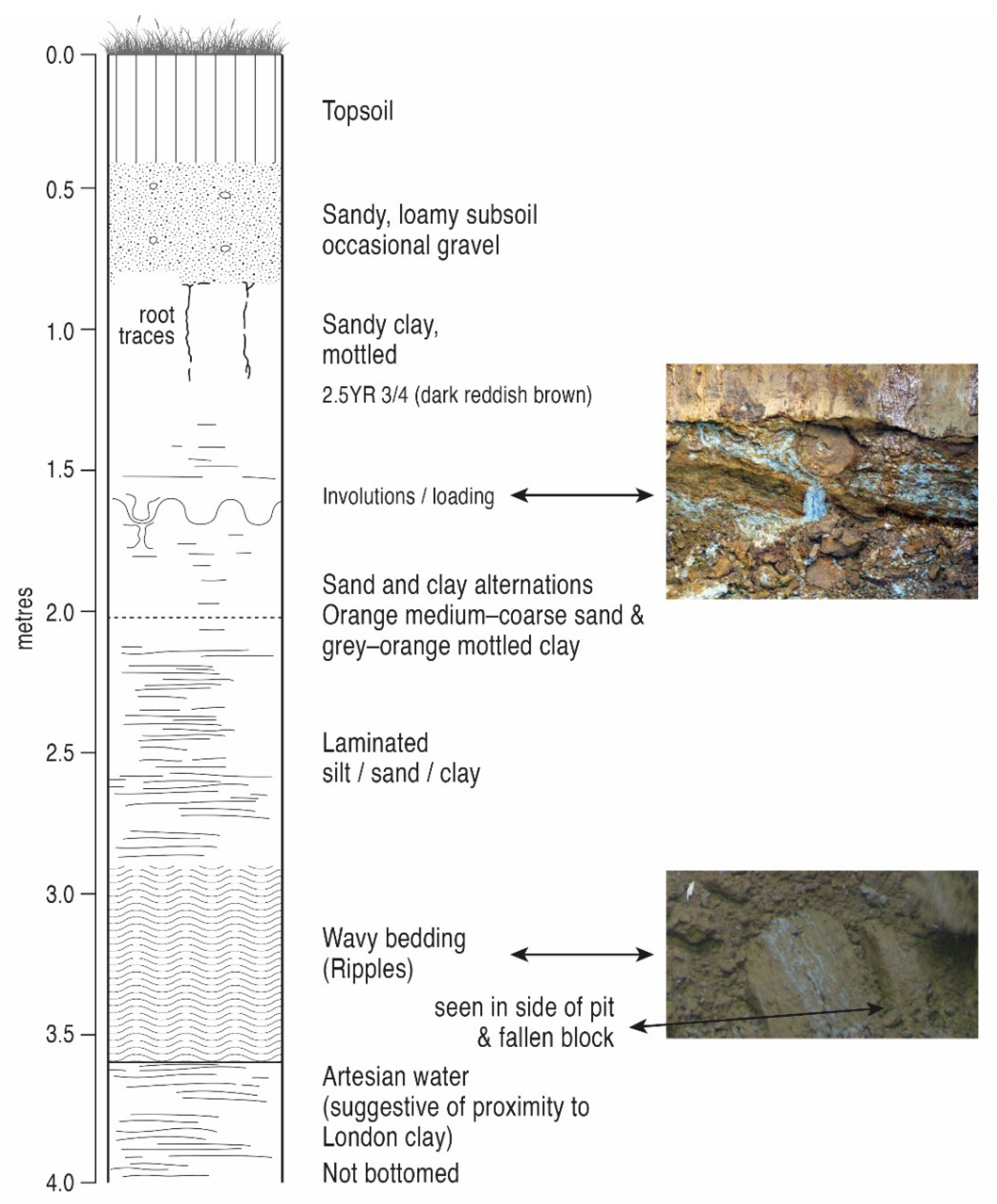 Quaternary 05 00037 g011 Quaternary 05 00037 g011