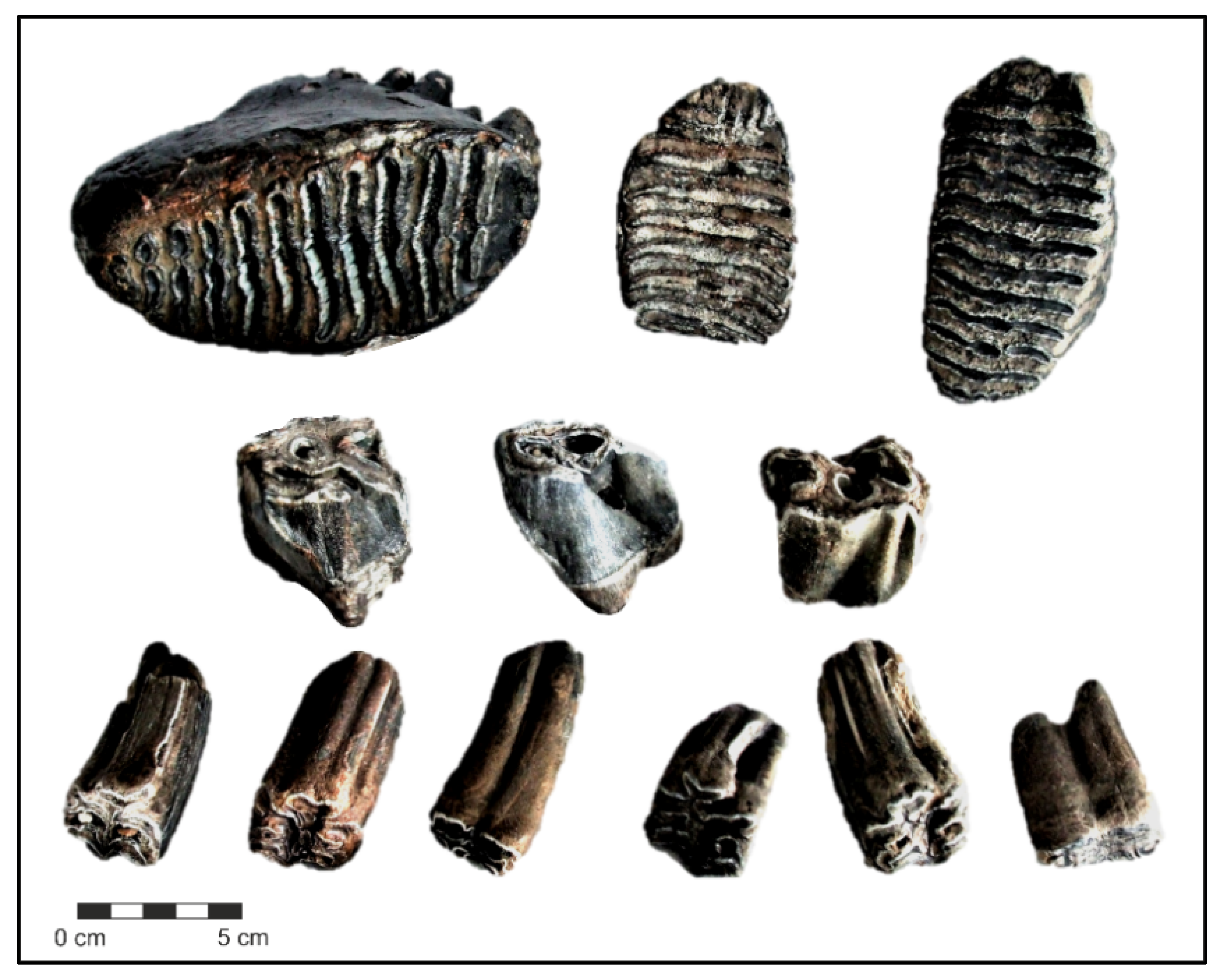 Quaternary 05 00037 g013 Quaternary 05 00037 g013