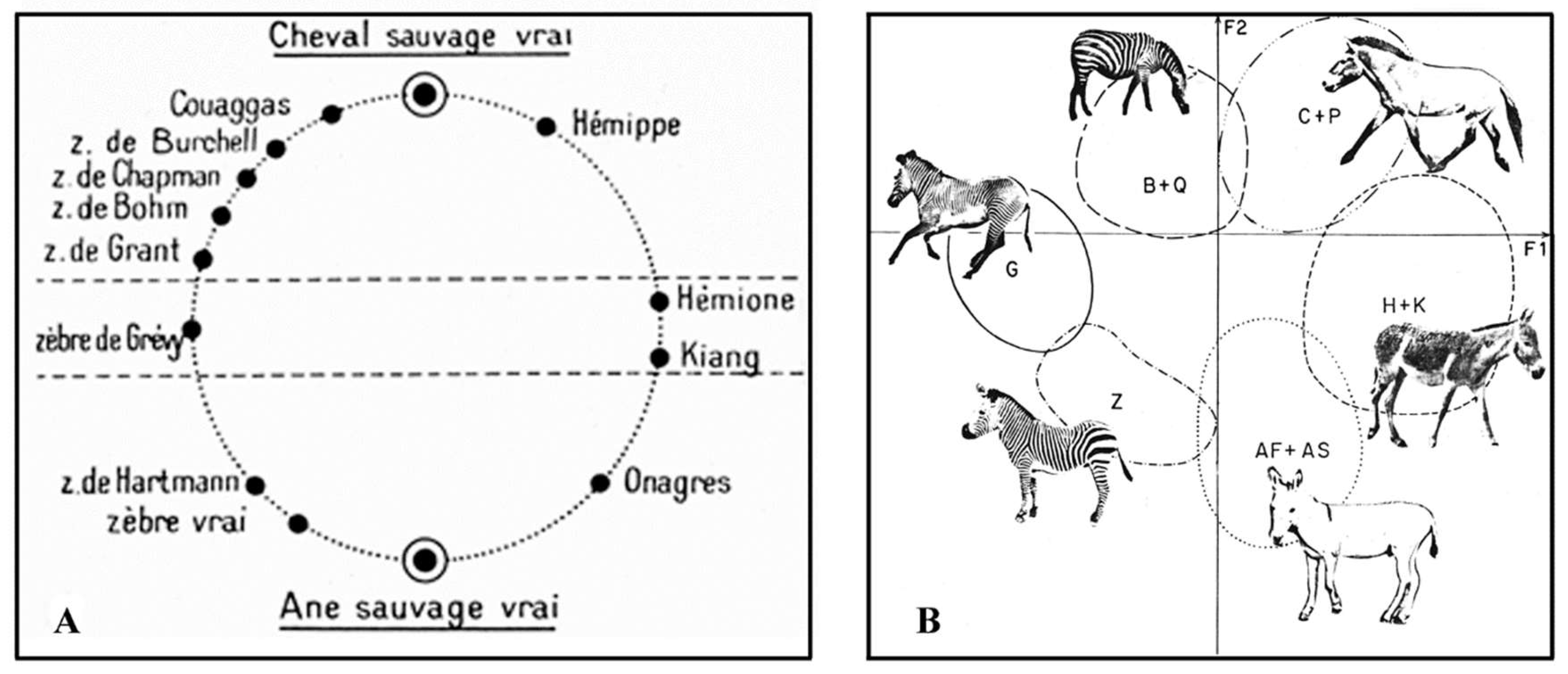 Quaternary 05 00038 g001 Quaternary 05 00038 g001