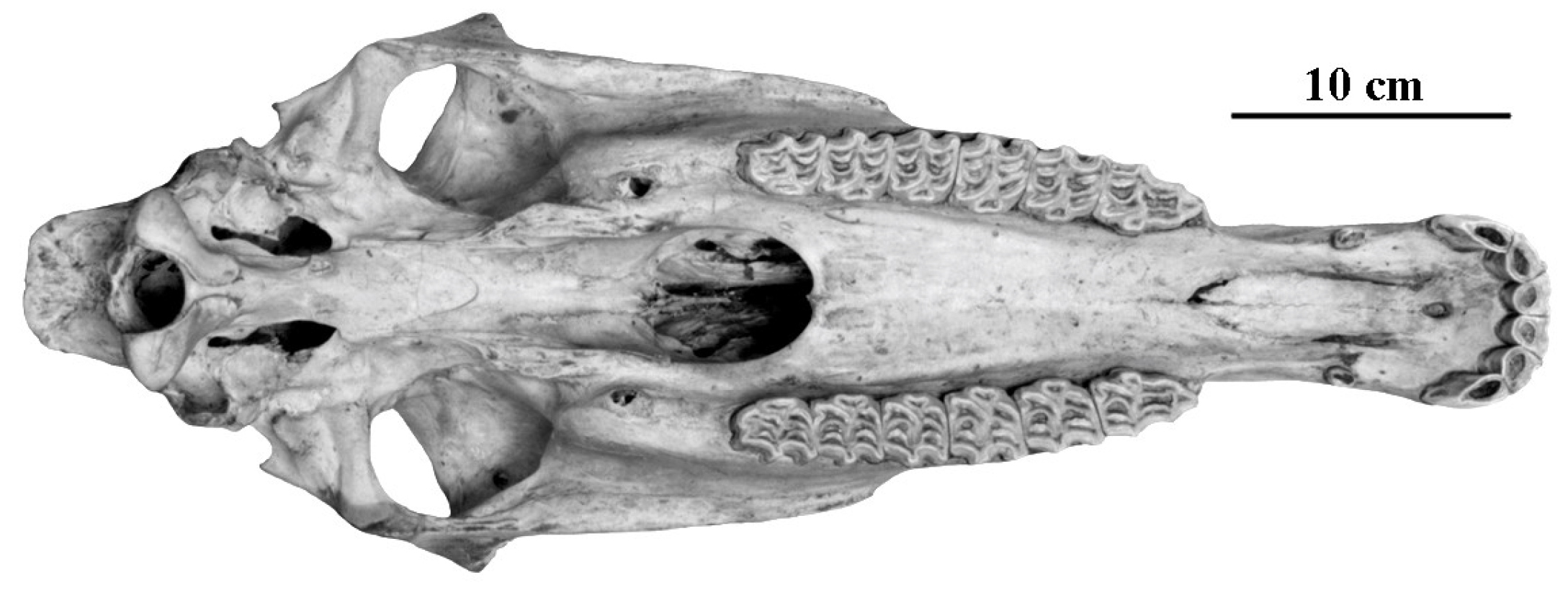 Quaternary 05 00038 g003 Quaternary 05 00038 g003