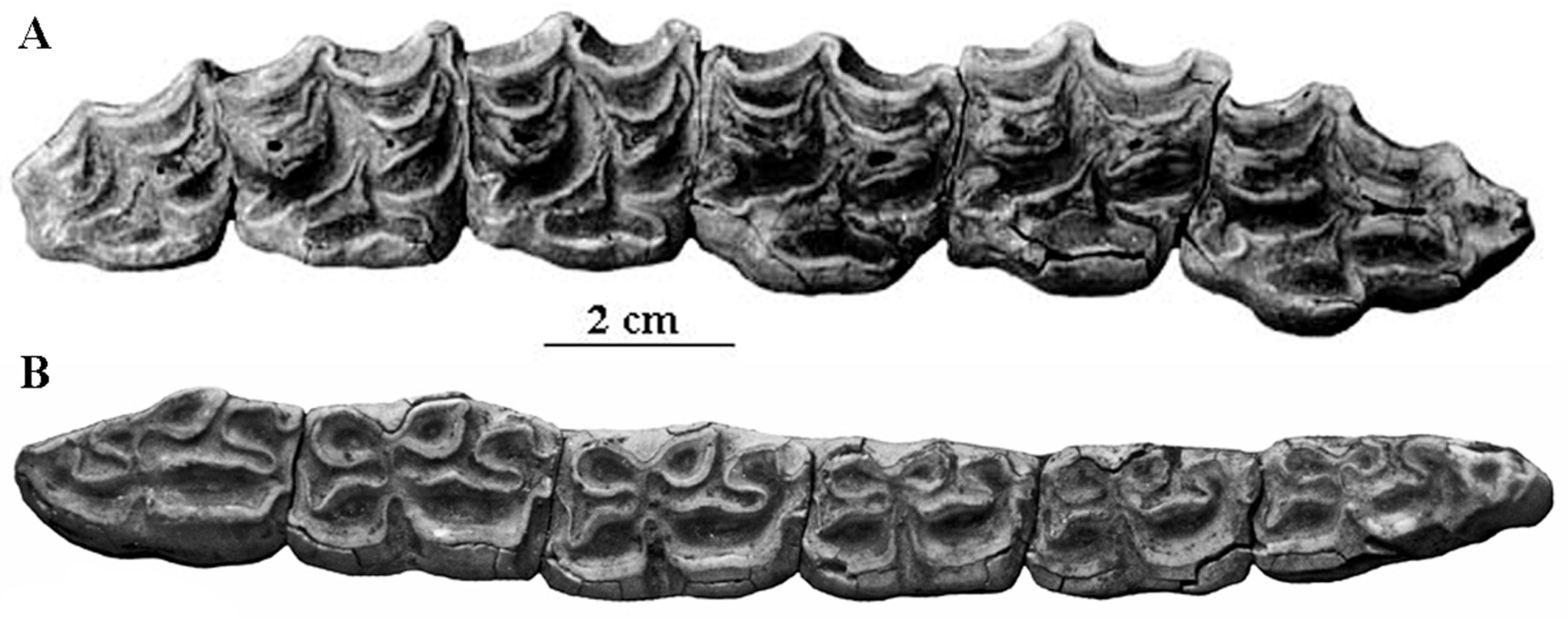 Quaternary 05 00038 g004 Quaternary 05 00038 g004