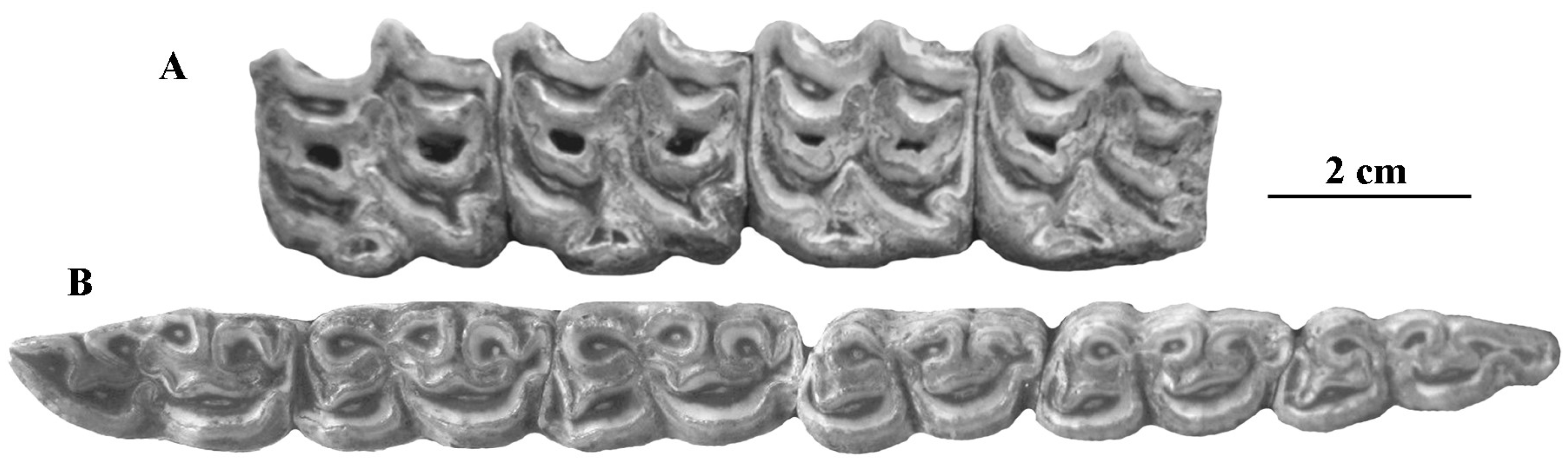 Quaternary 05 00038 g008 Quaternary 05 00038 g008