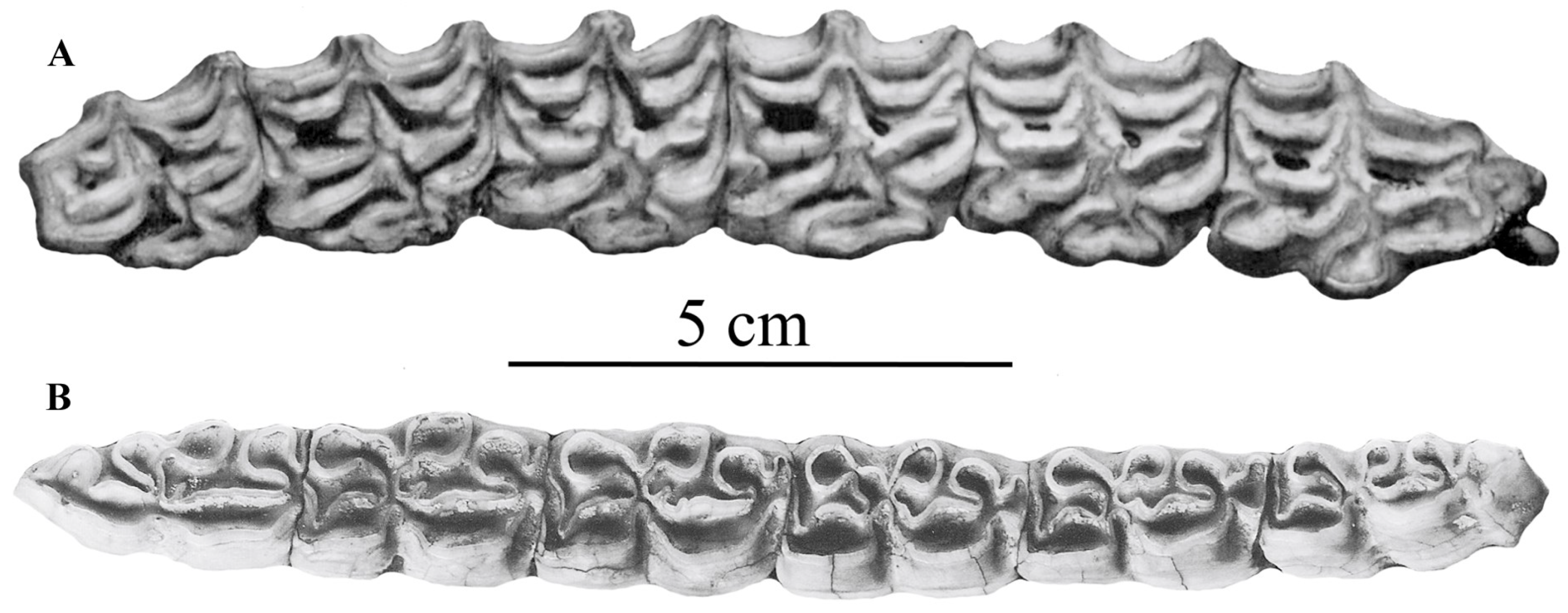 Quaternary 05 00038 g014 Quaternary 05 00038 g014