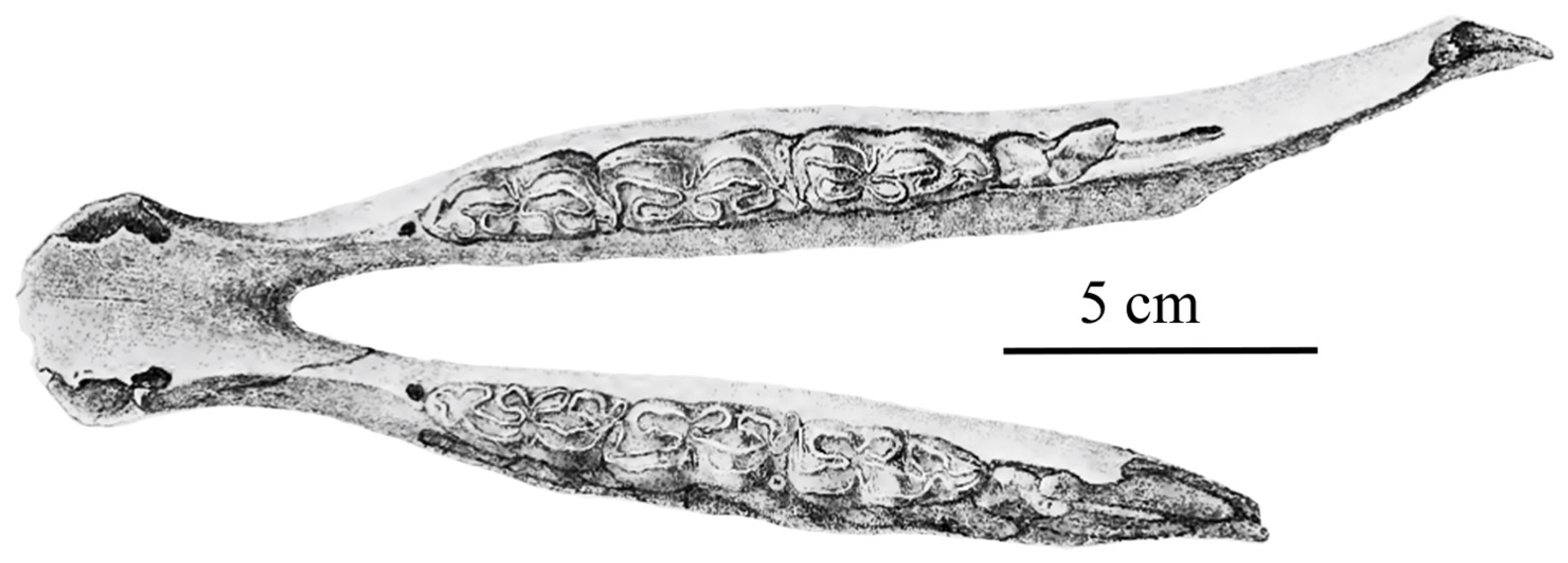 Quaternary 05 00038 g015 Quaternary 05 00038 g015