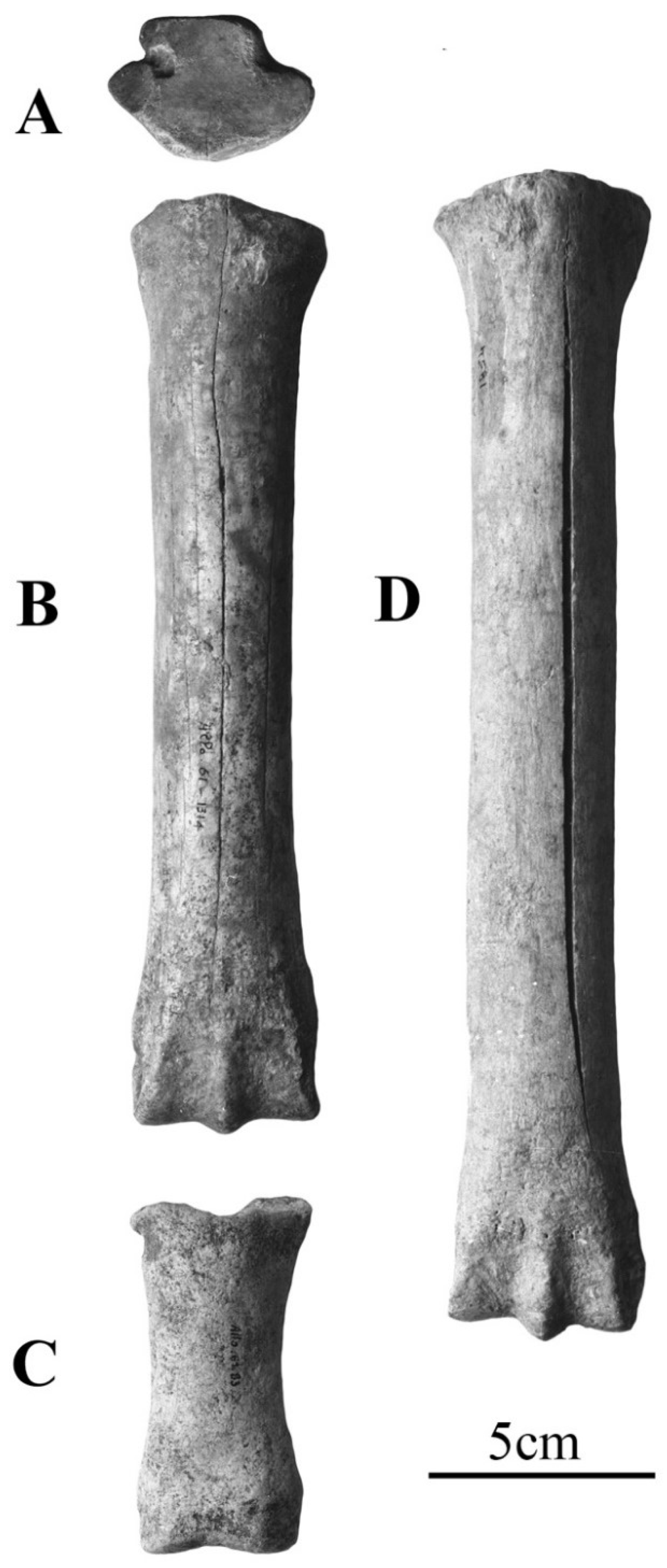 Quaternary 05 00038 g016 Quaternary 05 00038 g016