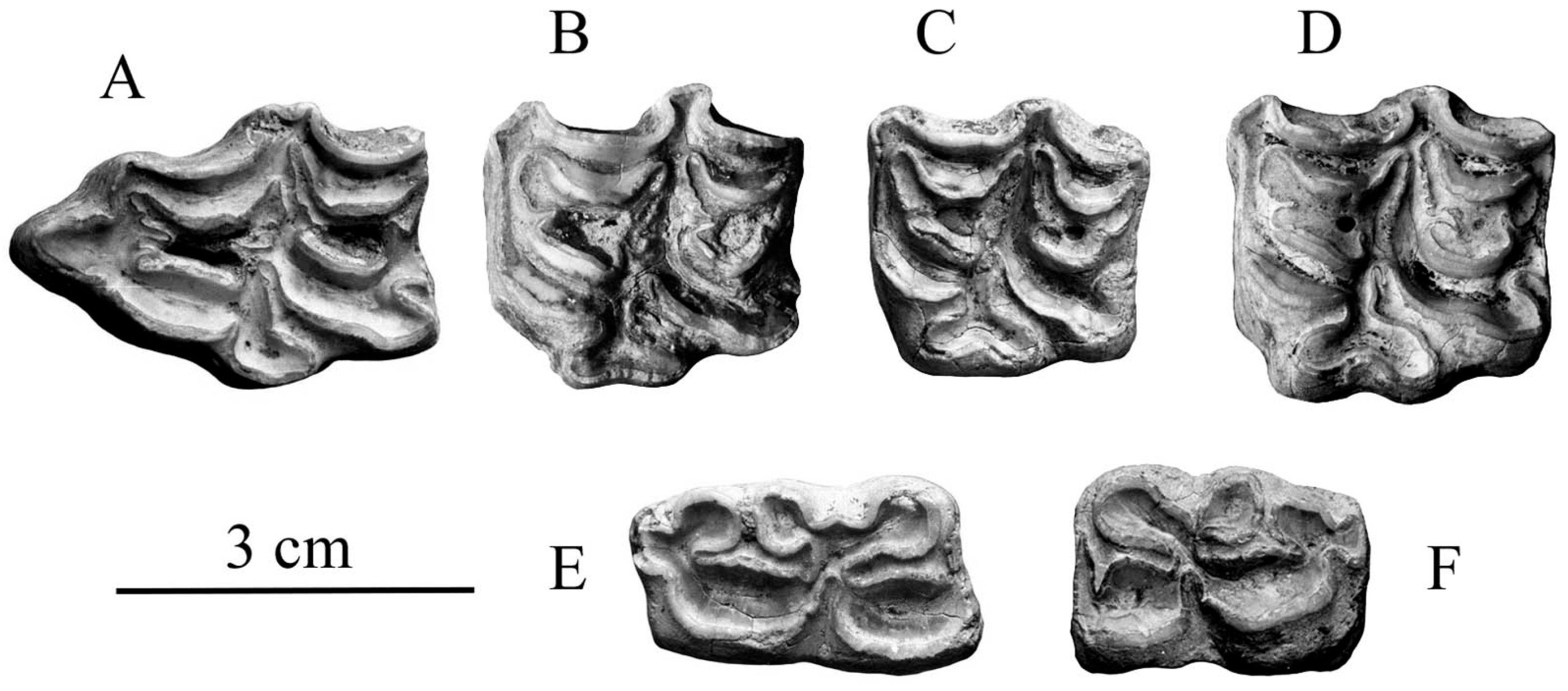 Quaternary 05 00038 g017 Quaternary 05 00038 g017