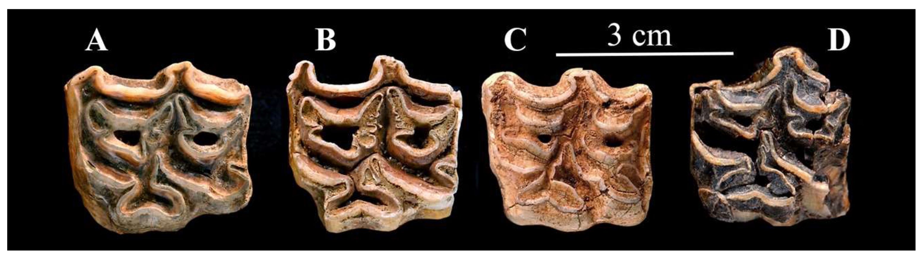 Quaternary 05 00038 g018 Quaternary 05 00038 g018