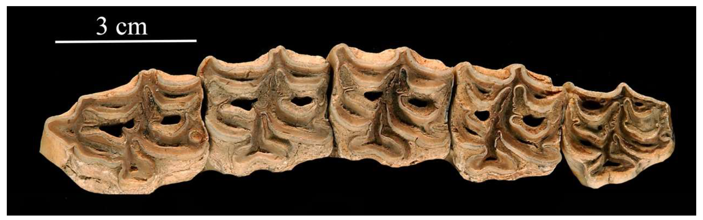 Quaternary 05 00038 g019 Quaternary 05 00038 g019